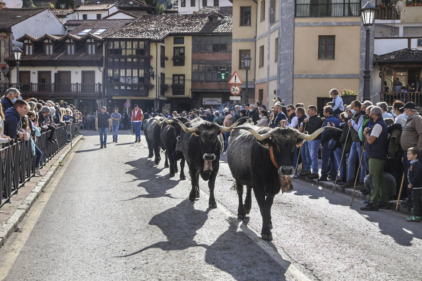 Fotos: Las mejores imágenes de la feria ganadera de Los Santos en Potes