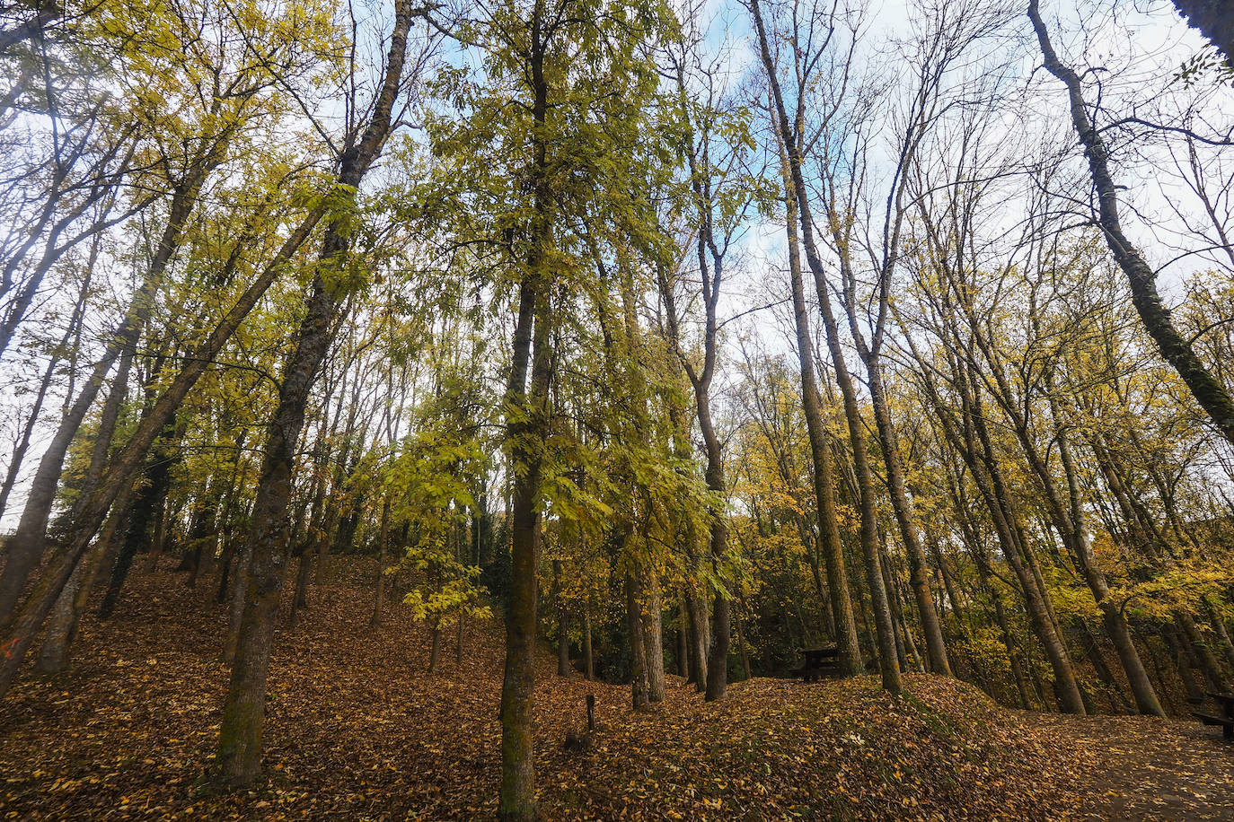 Fotos: Los colores de Campoo en otoño