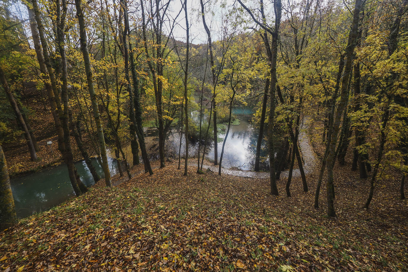 Fotos: Los colores de Campoo en otoño