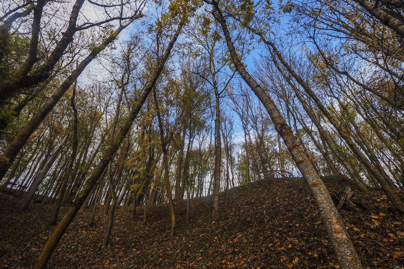 Fotos: Los colores de Campoo en otoño