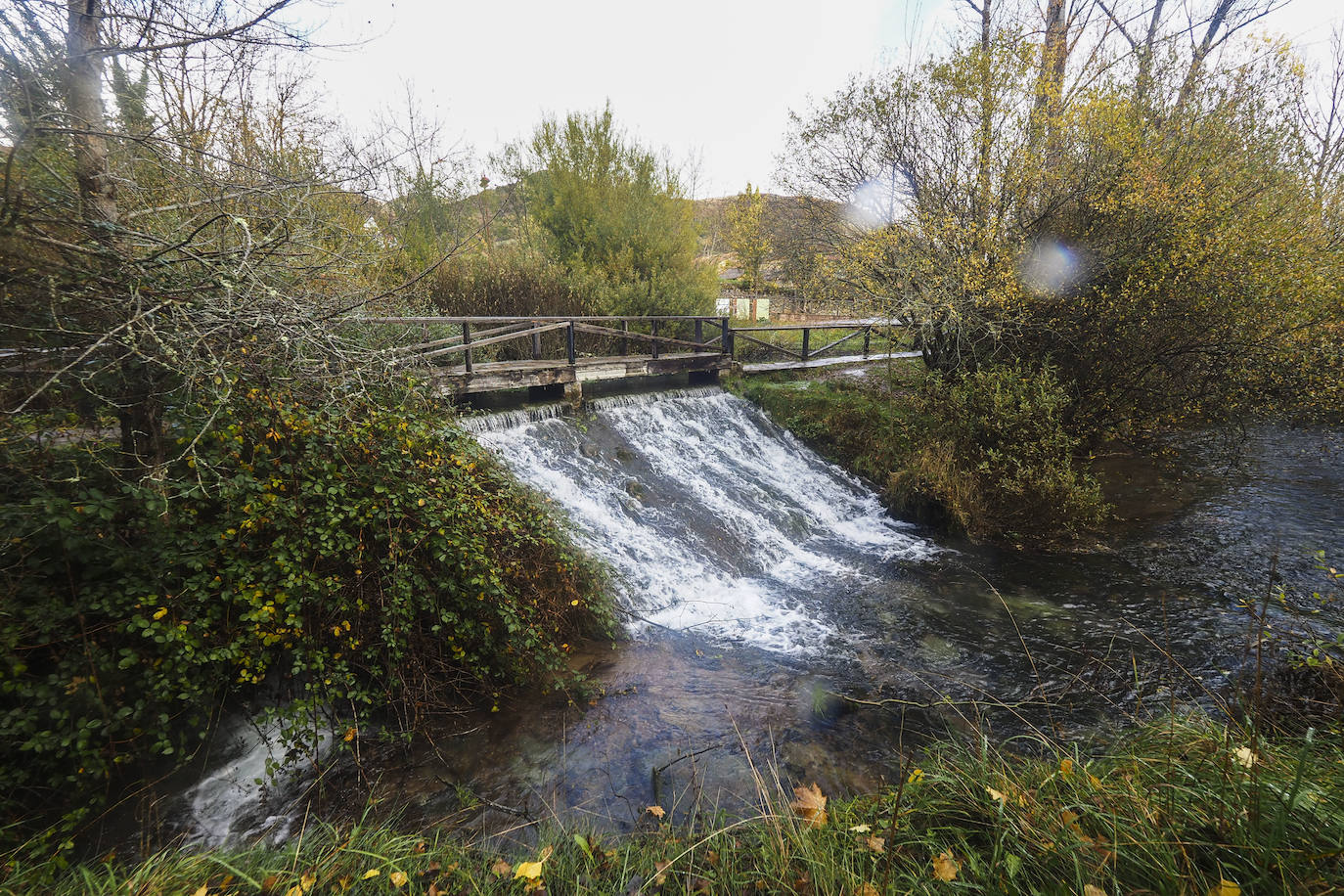 Fotos: Los colores de Campoo en otoño