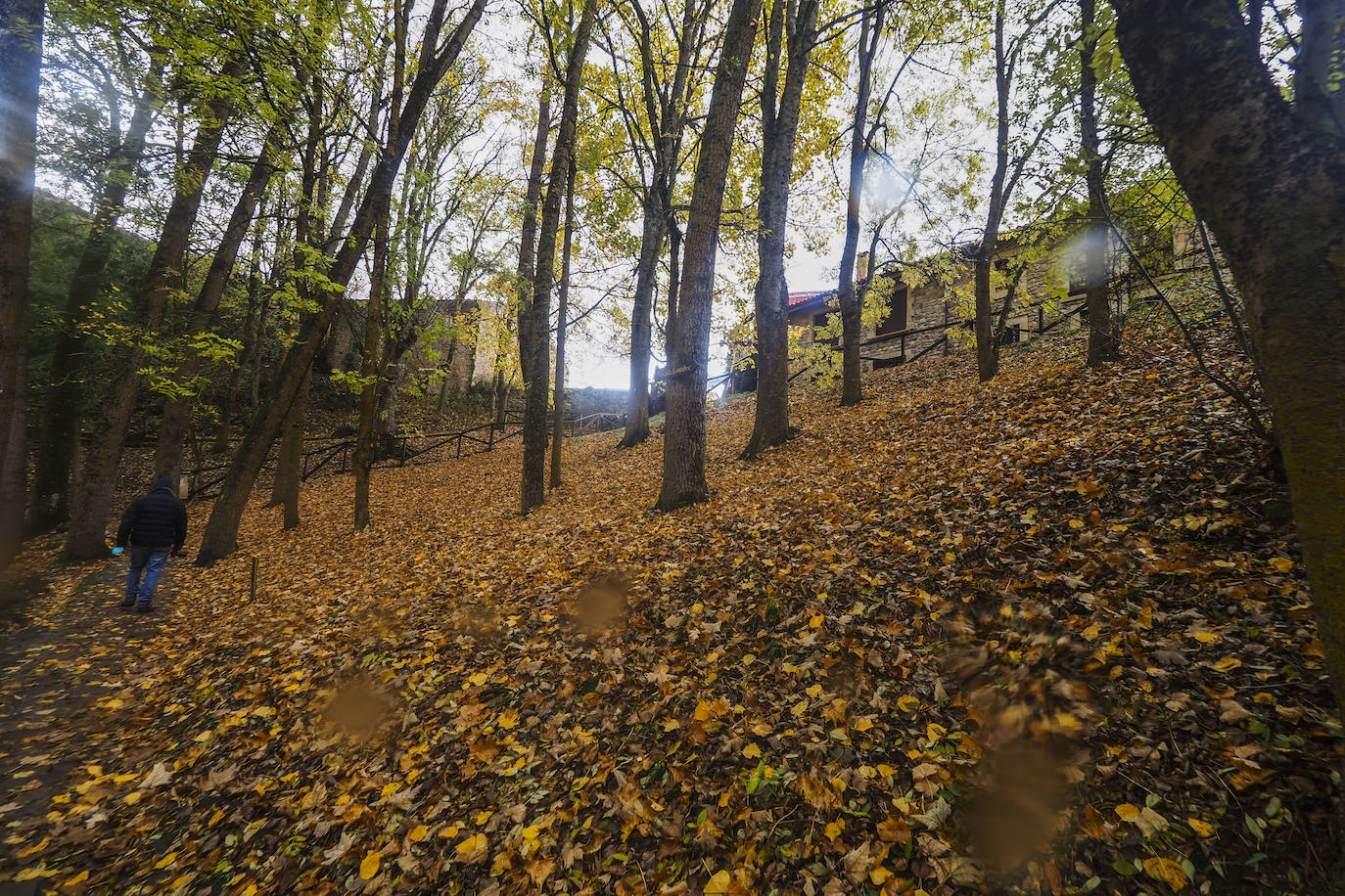 Fotos: Los colores de Campoo en otoño