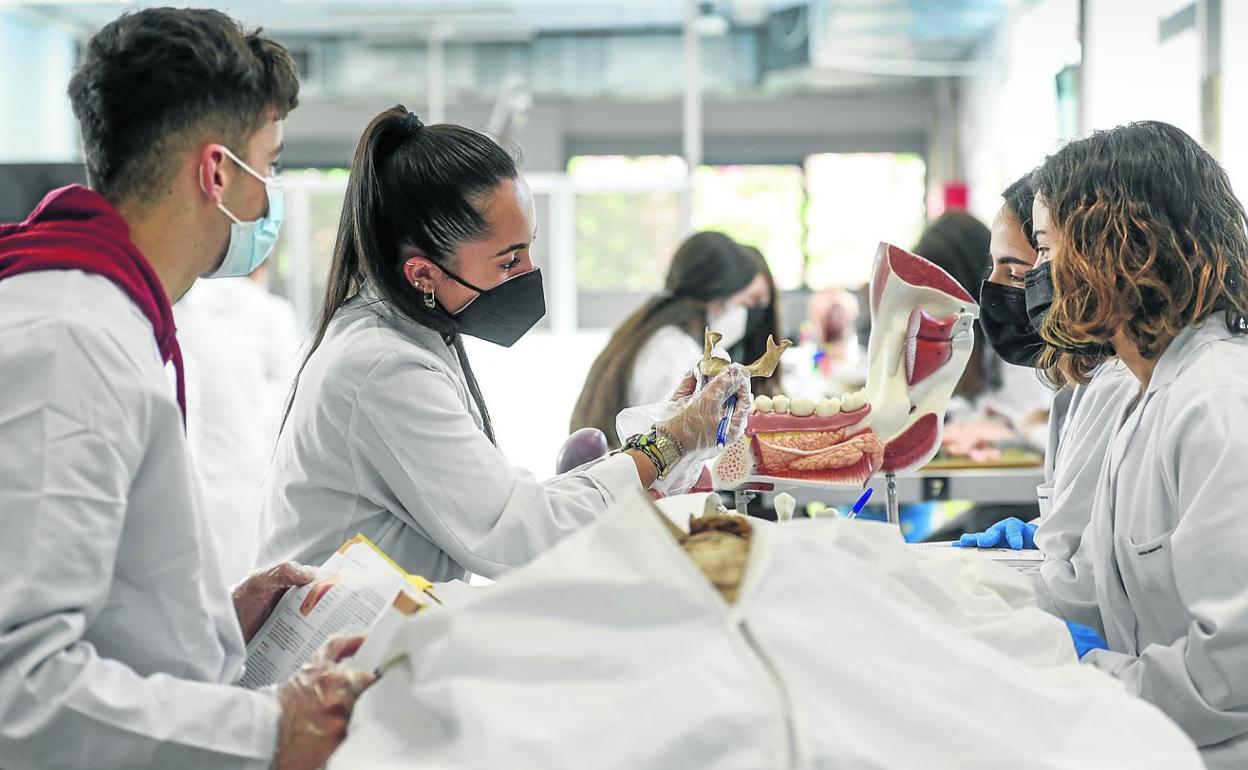 El alumnado de 1º de Enfermería de la Universidad de Cantabria (UC) asiste a una clase de Anatomía en una de las salas de disección de la Facultad de Medicina