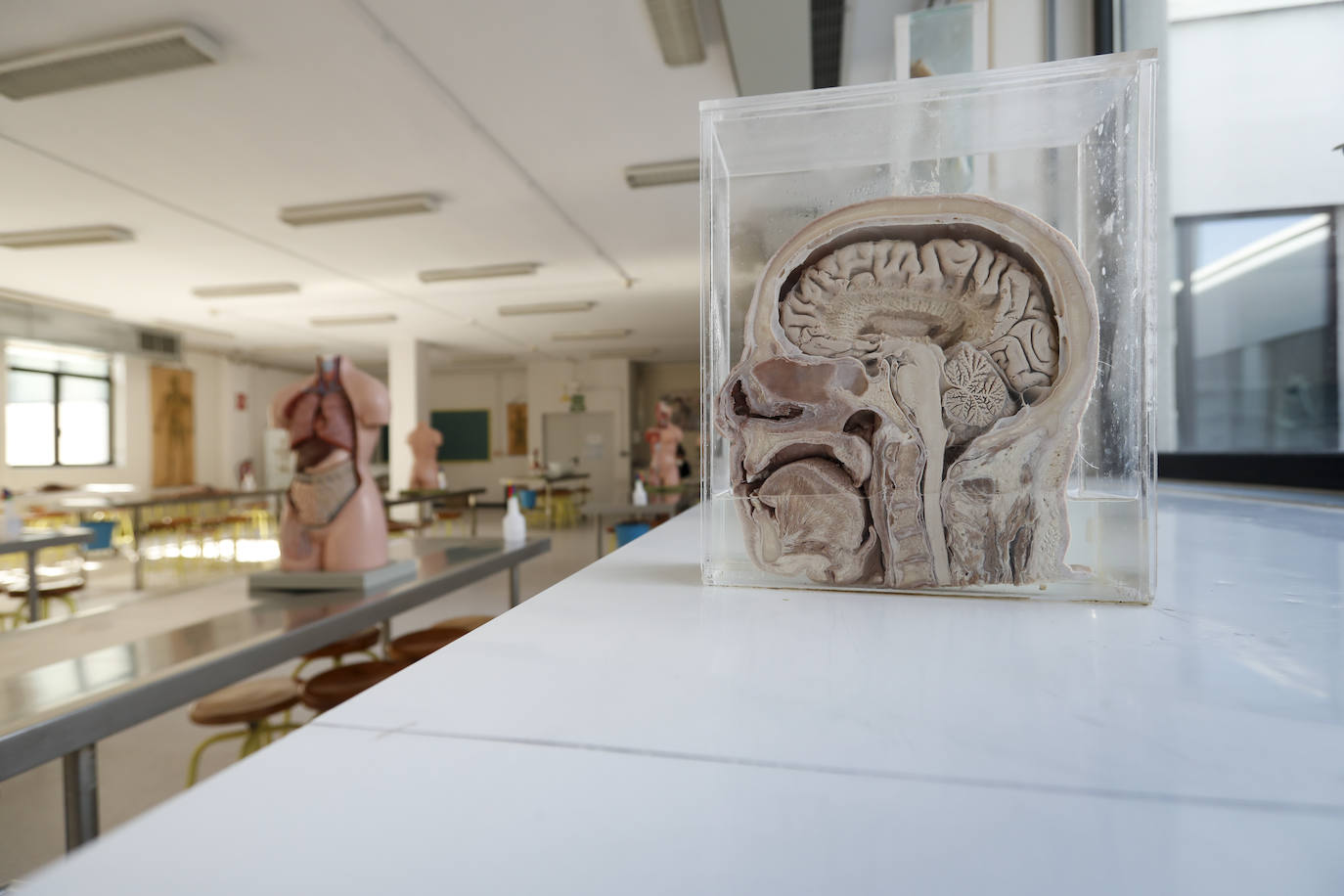Fotos: La segunda vida del cuerpo humano
