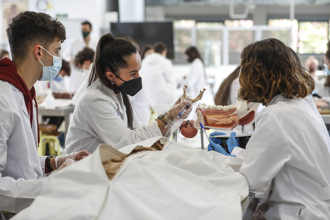 Fotos: La segunda vida del cuerpo humano