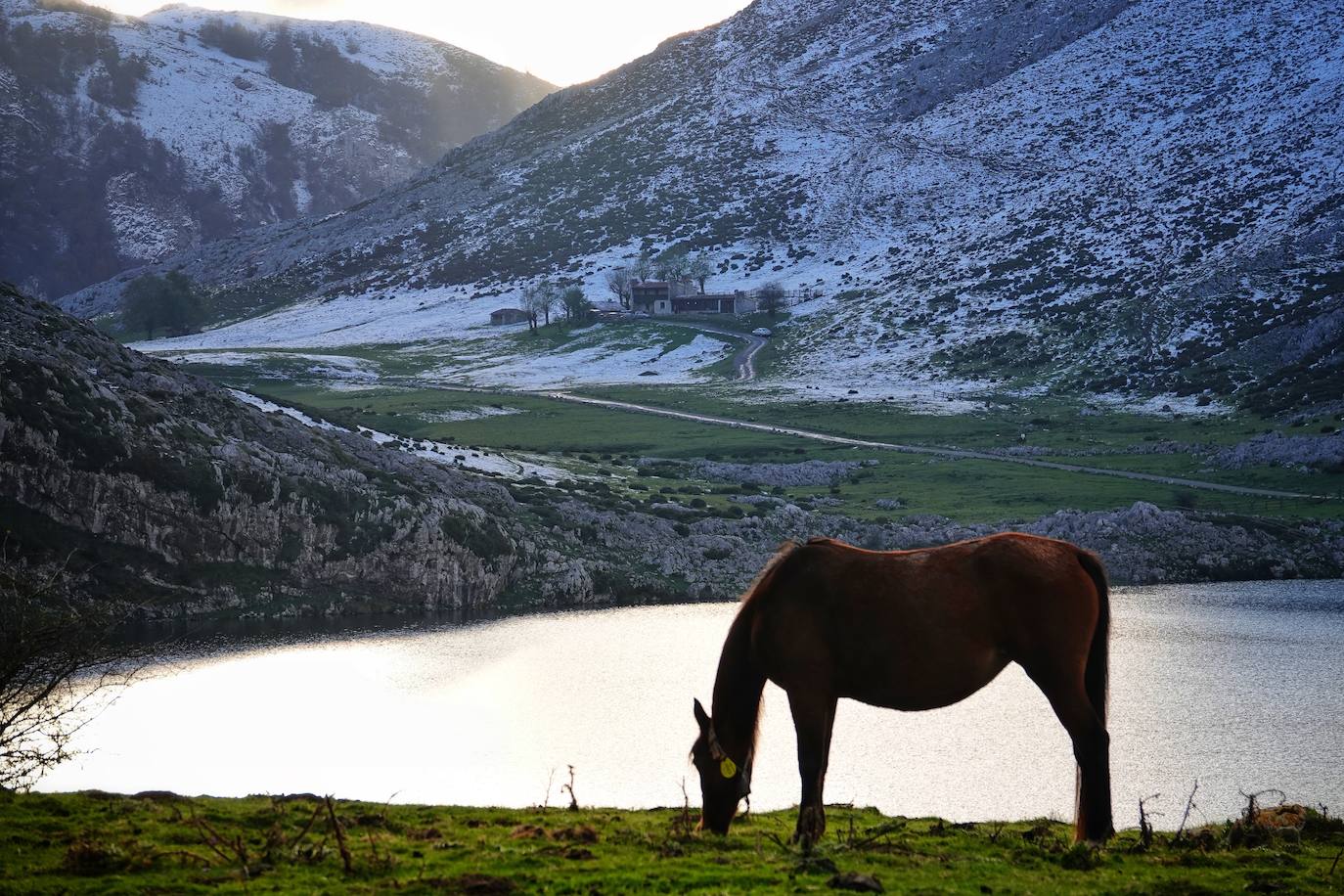 Fotos: Los Lagos de Covadonga, un espectáculo en otoño