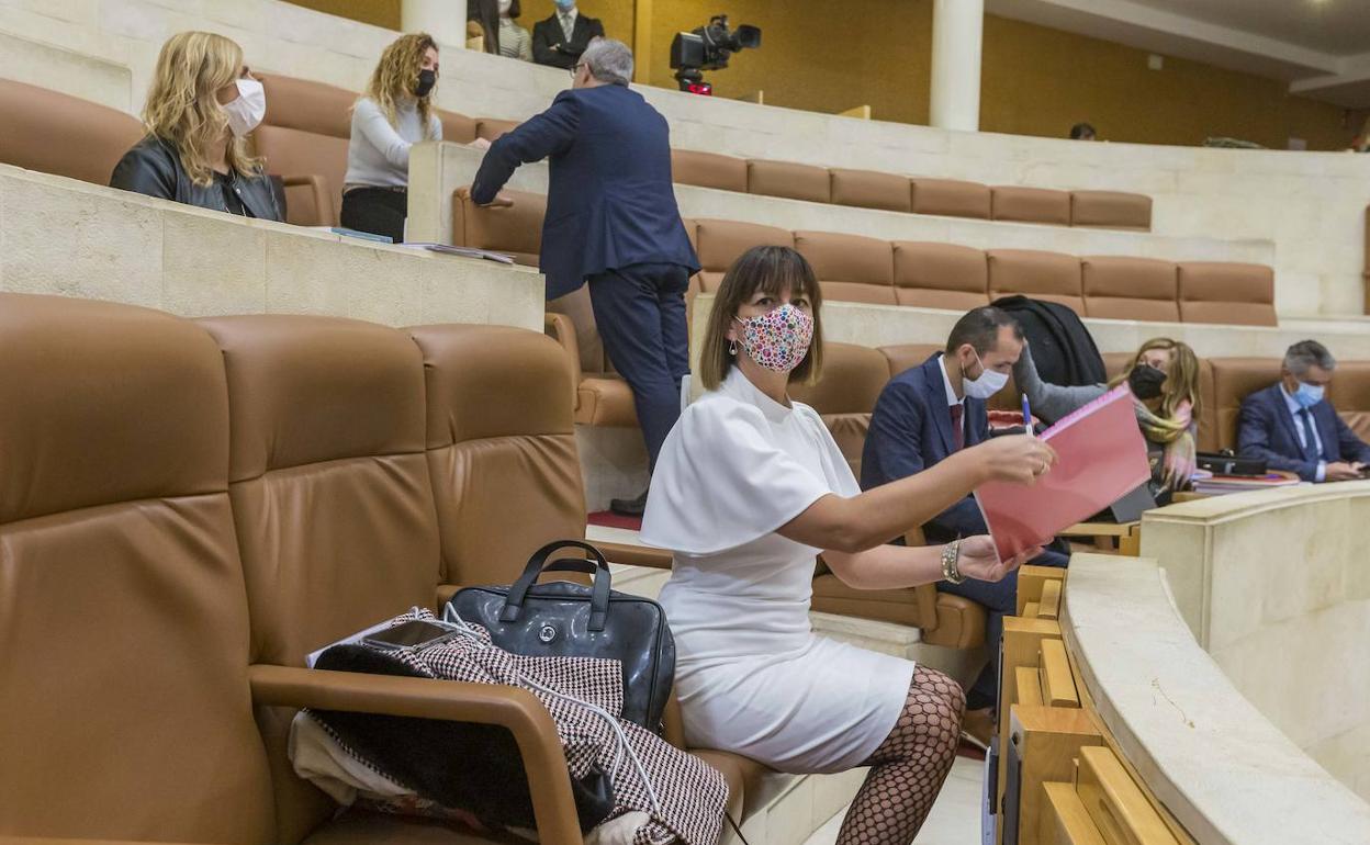 La consejera momentos antes de tomar la palabra en el Parlamento