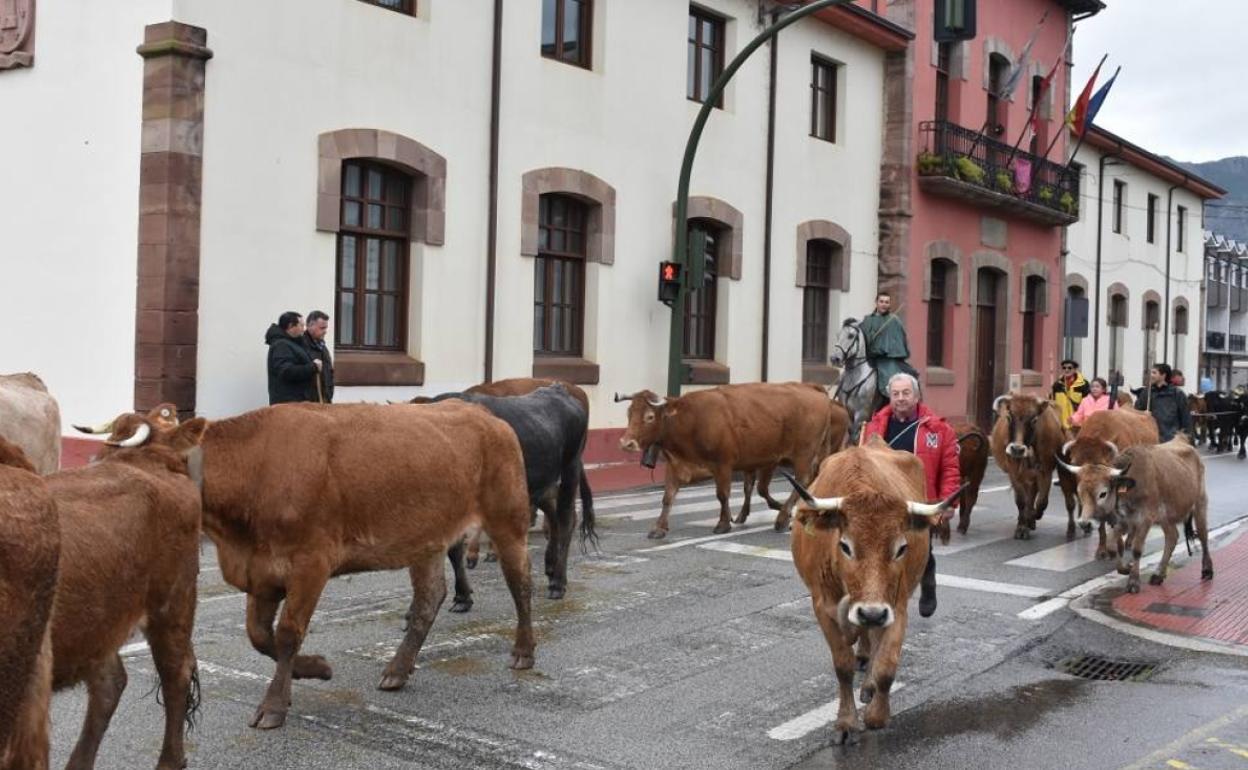 Feria de ganado en San Felices hace dos años.