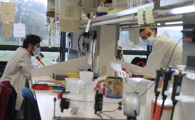 Dos investigadores en un laboratorio del Instituto Biofisika de Leioa, un centro mixto de la UPV y el CSIC.