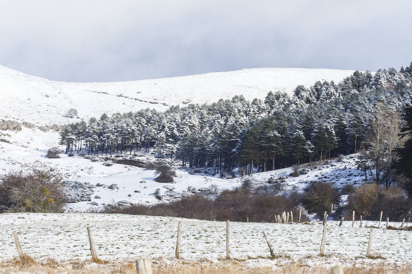 Paisajes nevados en Campoo.