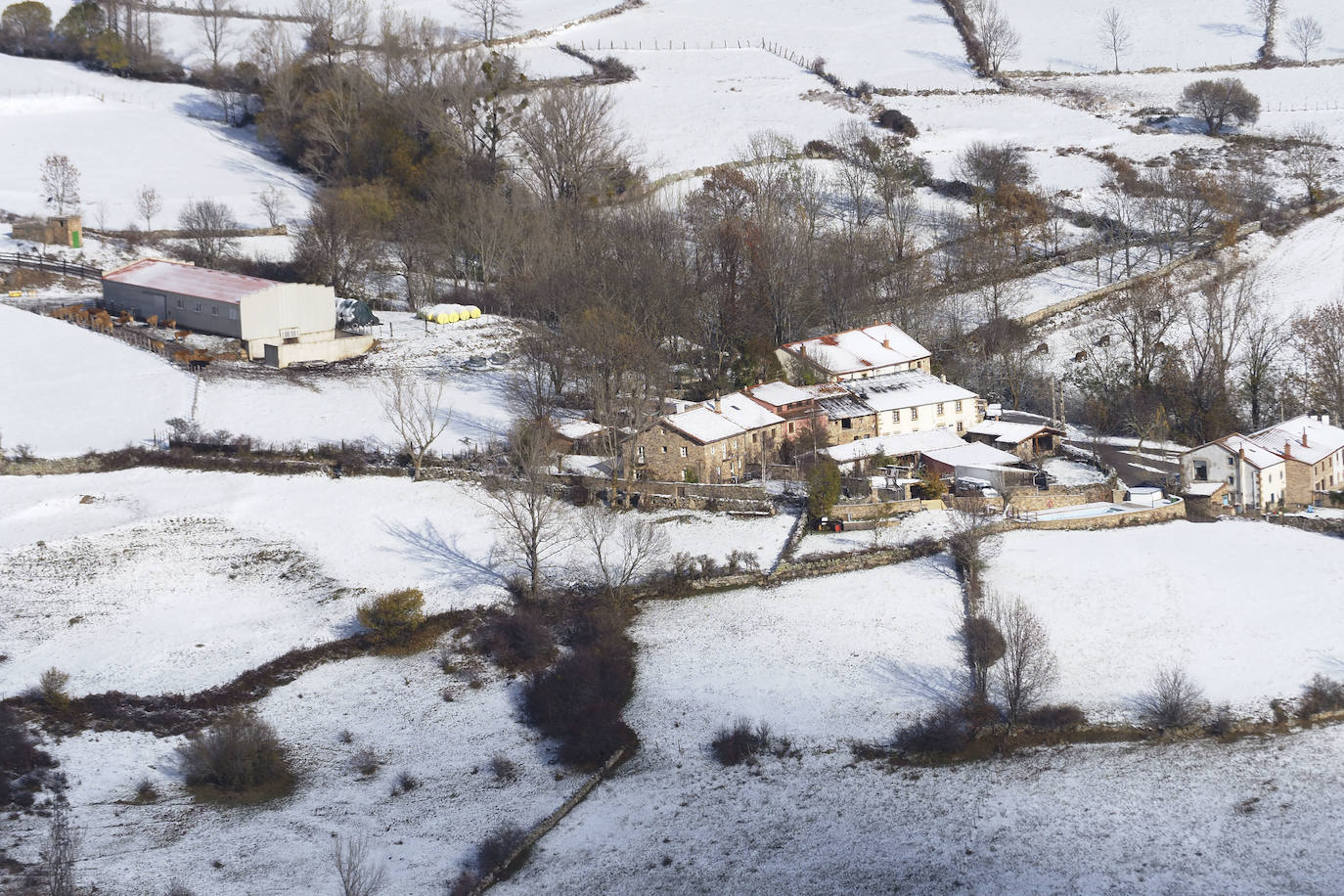 Paisajes nevados en Campoo.