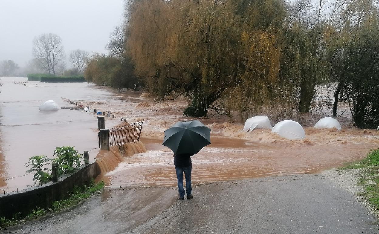 Un vecino observa cómo el agua se apodera de una explotación ganadera en Vioño de Piélagos. 