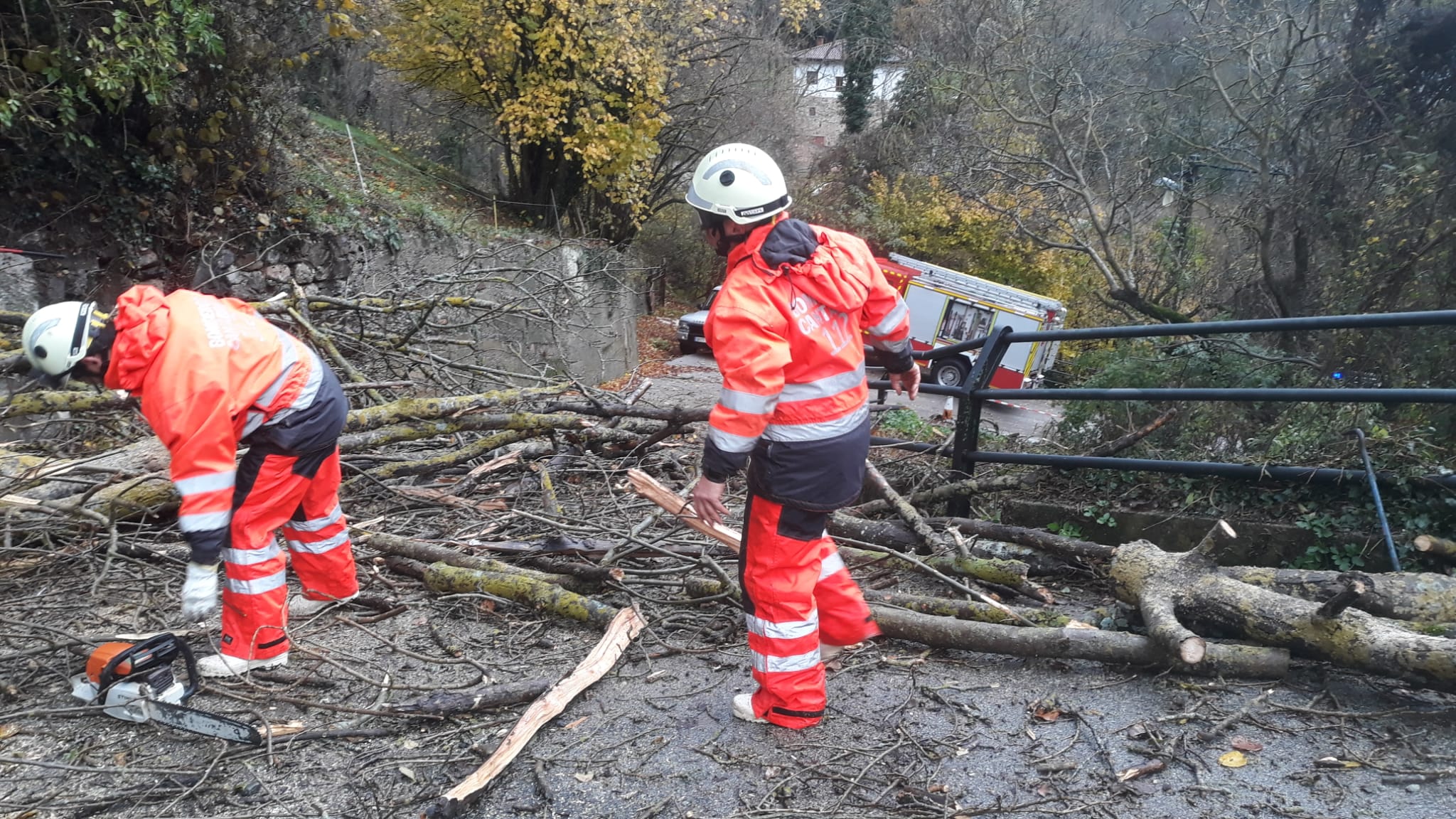 Retirada de árboles caídos en el acceso a Castro Cillorigo DE Liébana.