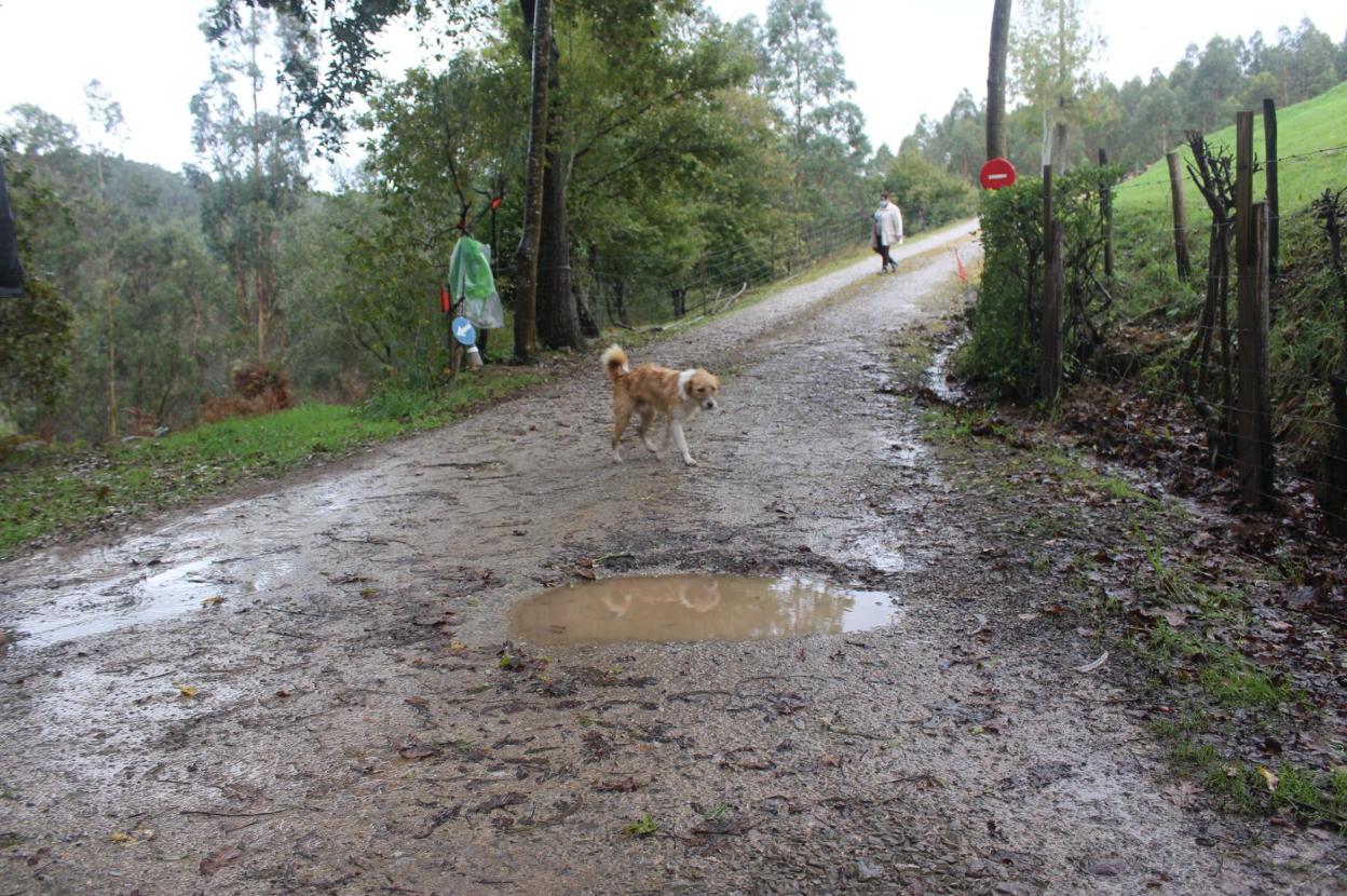 Estado actual de la carretera de acceso a las cuatro viviendas existentes en La Tejera, Socobio 