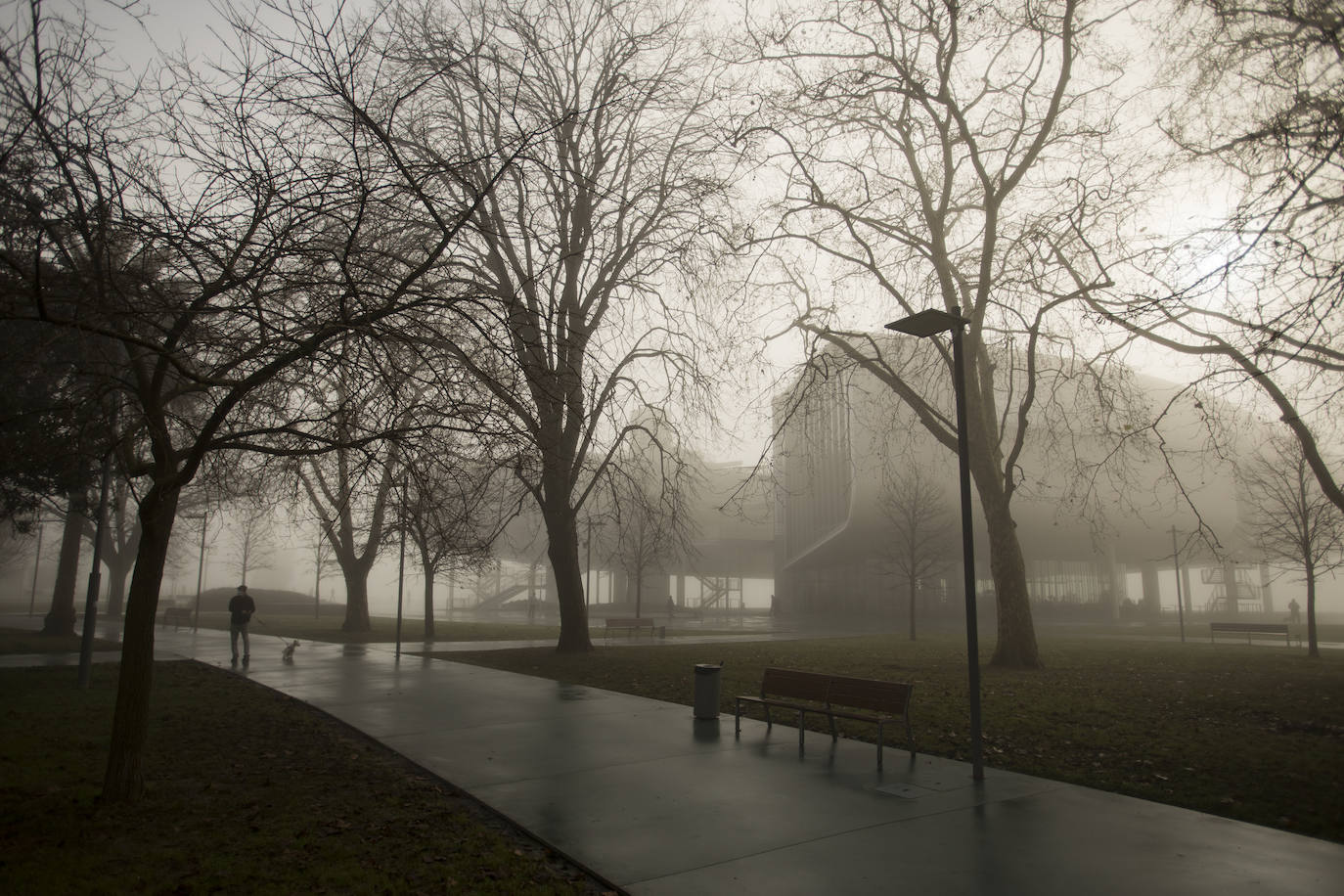 Fotos: La niebla en el amanecer de Santander