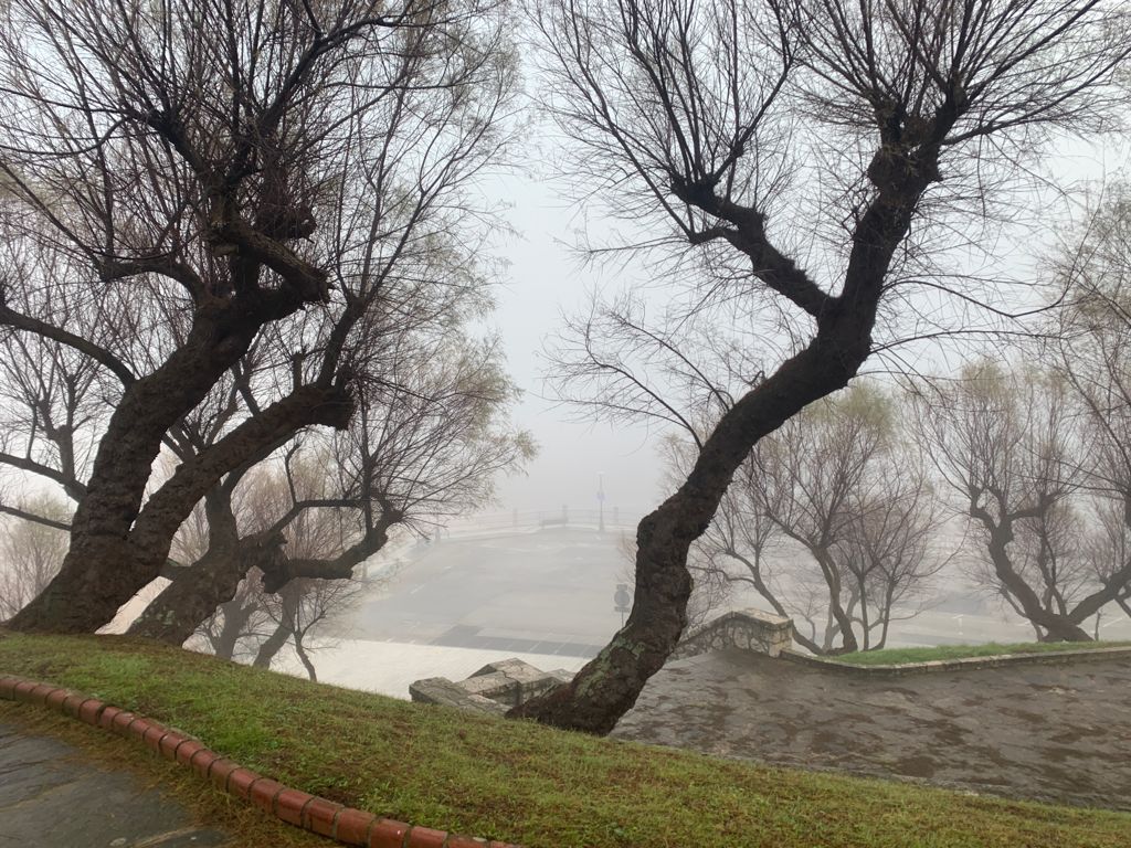 Fotos: La niebla en el amanecer de Santander