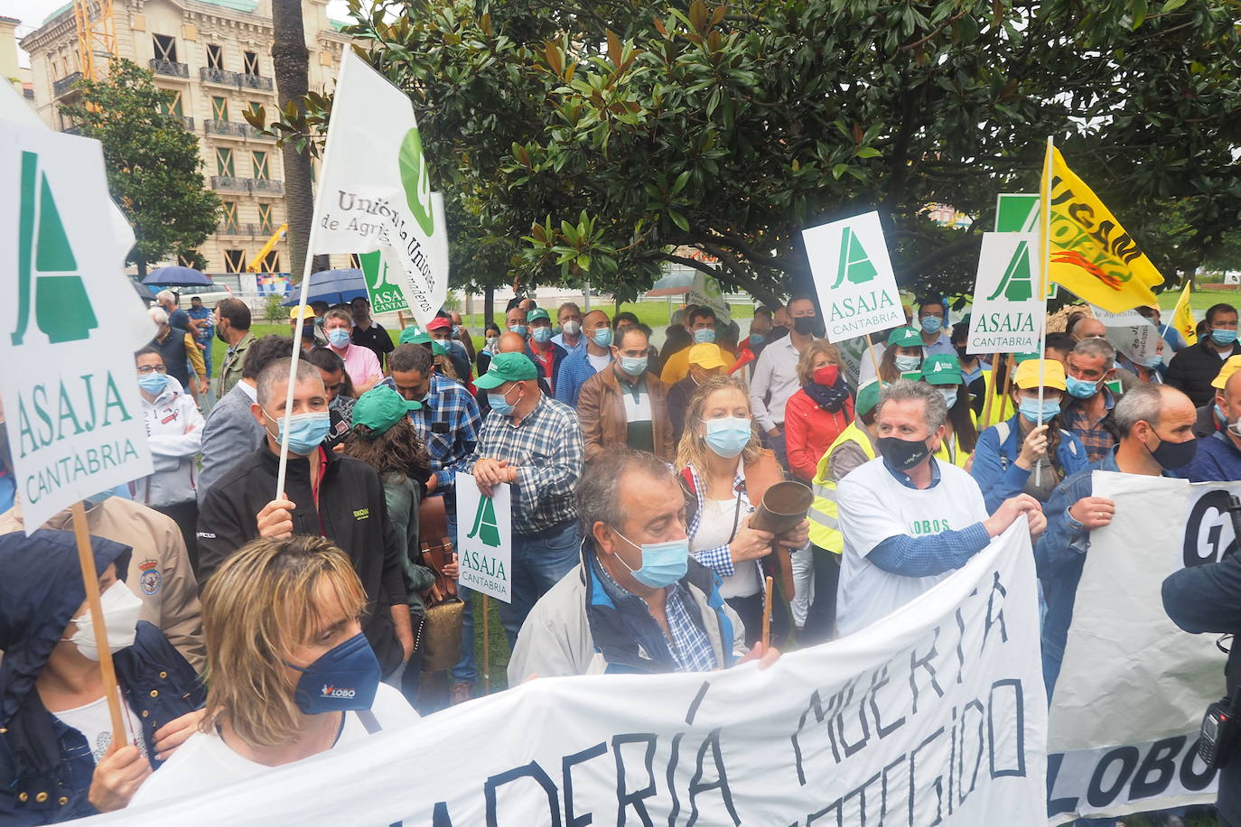 En septiembre los ganaderos protestas ante Pedro Sánchez por la prohibición de cazar el lobo