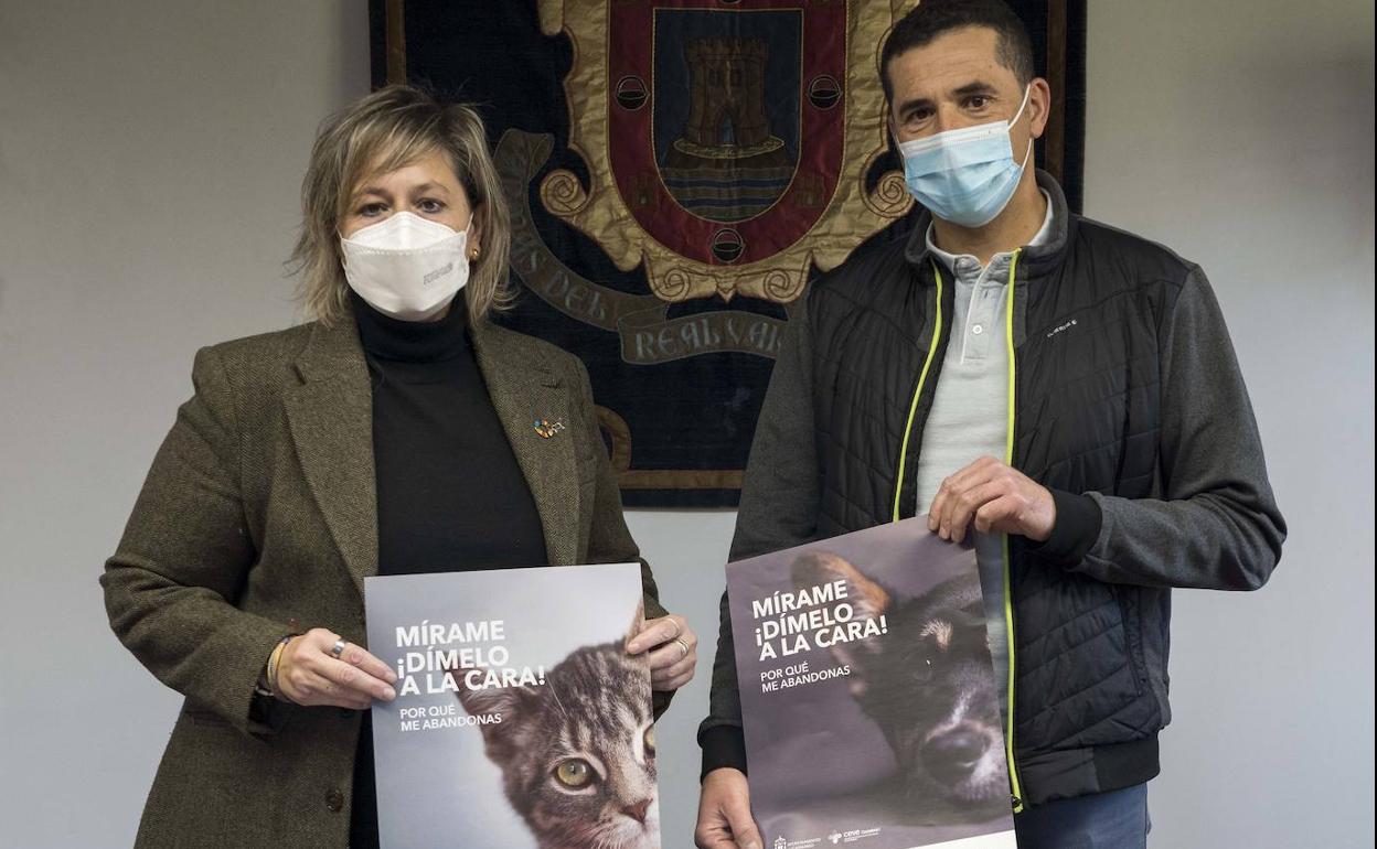 En España en 2020 se abandonaron alrededor de 162.000 perros y 124.000 gatos