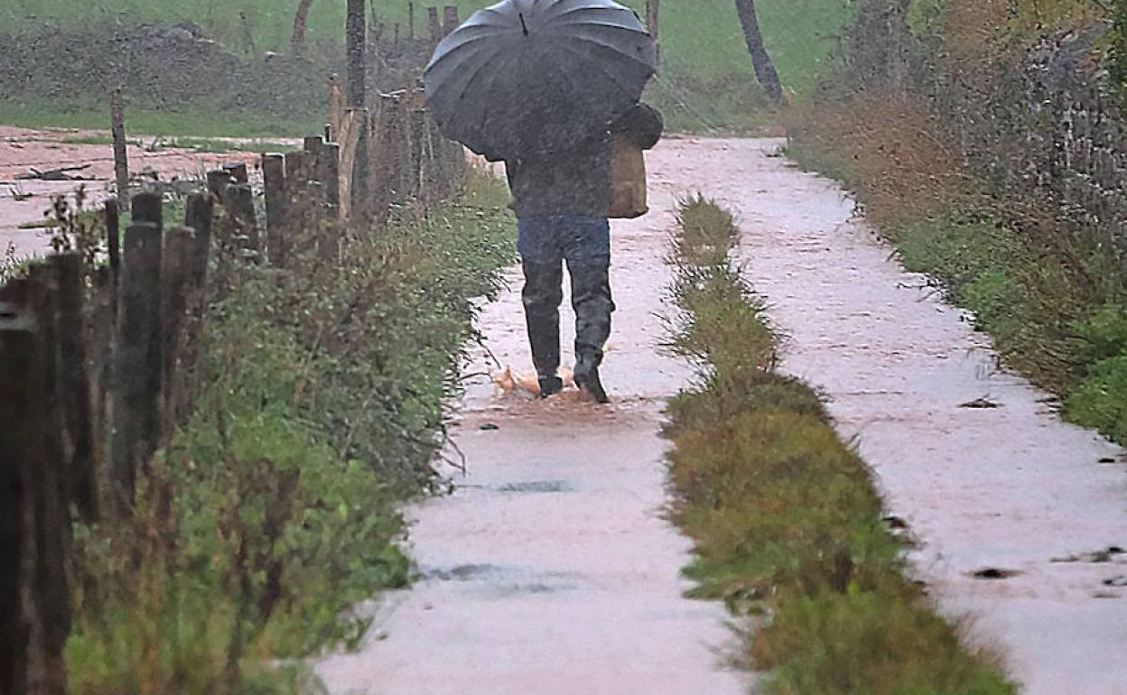 Una guía para que los afectados por las inundaciones en Cantabria sepan hacerlas frente