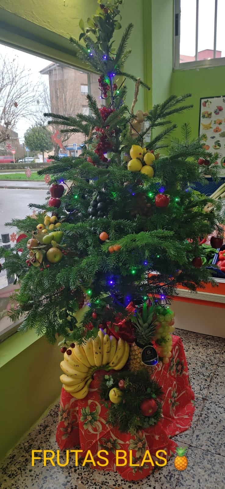 Imagen - Árbol del establecimiento Frutas Blas.