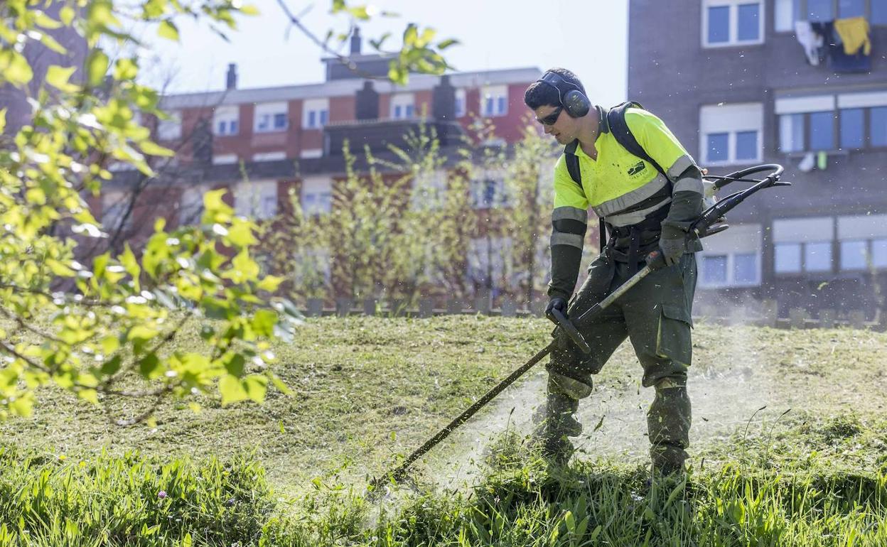 El nuevo contrato de Parques y Jardines saldrá a licitación por 12,7 millones de euros al año