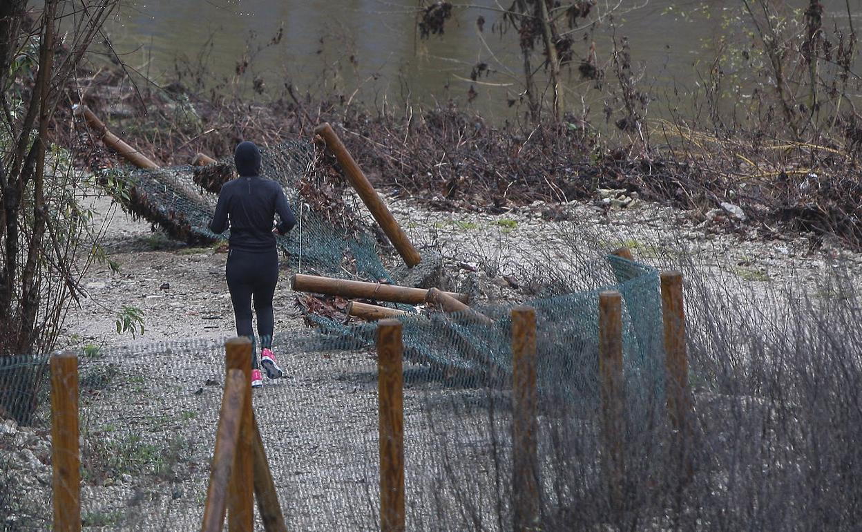 Una mujer practica running junto a la valla caída tras el último temporal. 