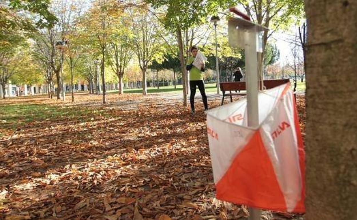 El Parque de la Viesca de Torrelavega acogerá este domingo, la segunda carrera de la I Liga Popular de Orientación de Cantabria. 