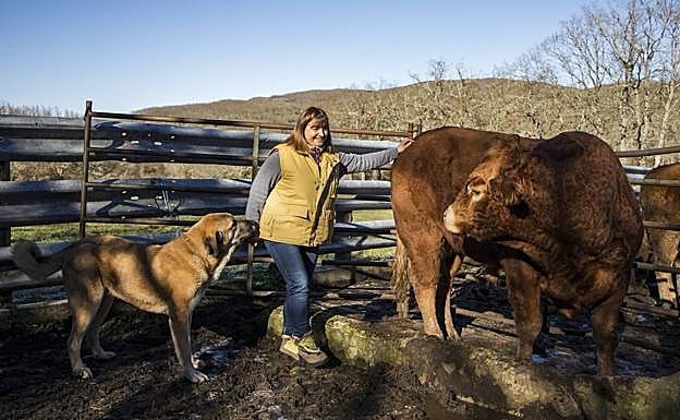 La calidad: María Ángeles García remarca que en España existen «dos modelos productivos dentro de este sector, que son la ganadería intensiva y la ganadería extensiva, que ofrecen carne de muy diversa calidad, lo mismo que pasa con las naranjas, los plátanos o los chocolates».
