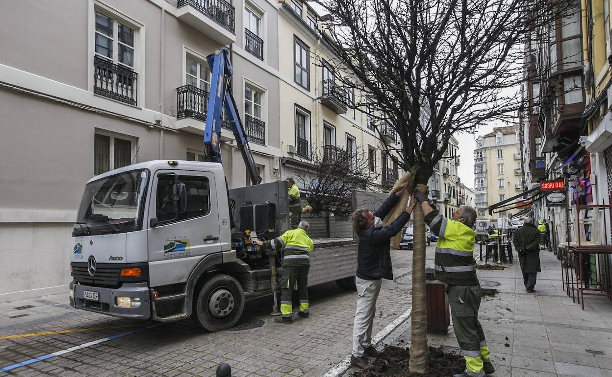 Operarios de Parques y Jardines proceden estos días al cambio.