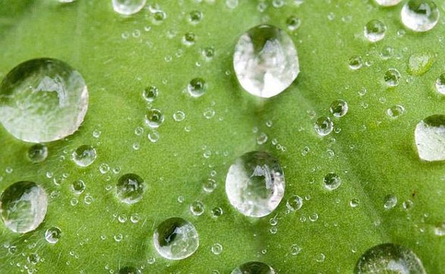 Cada golpe de una gota de lluvia es capaz de generar electricidad.