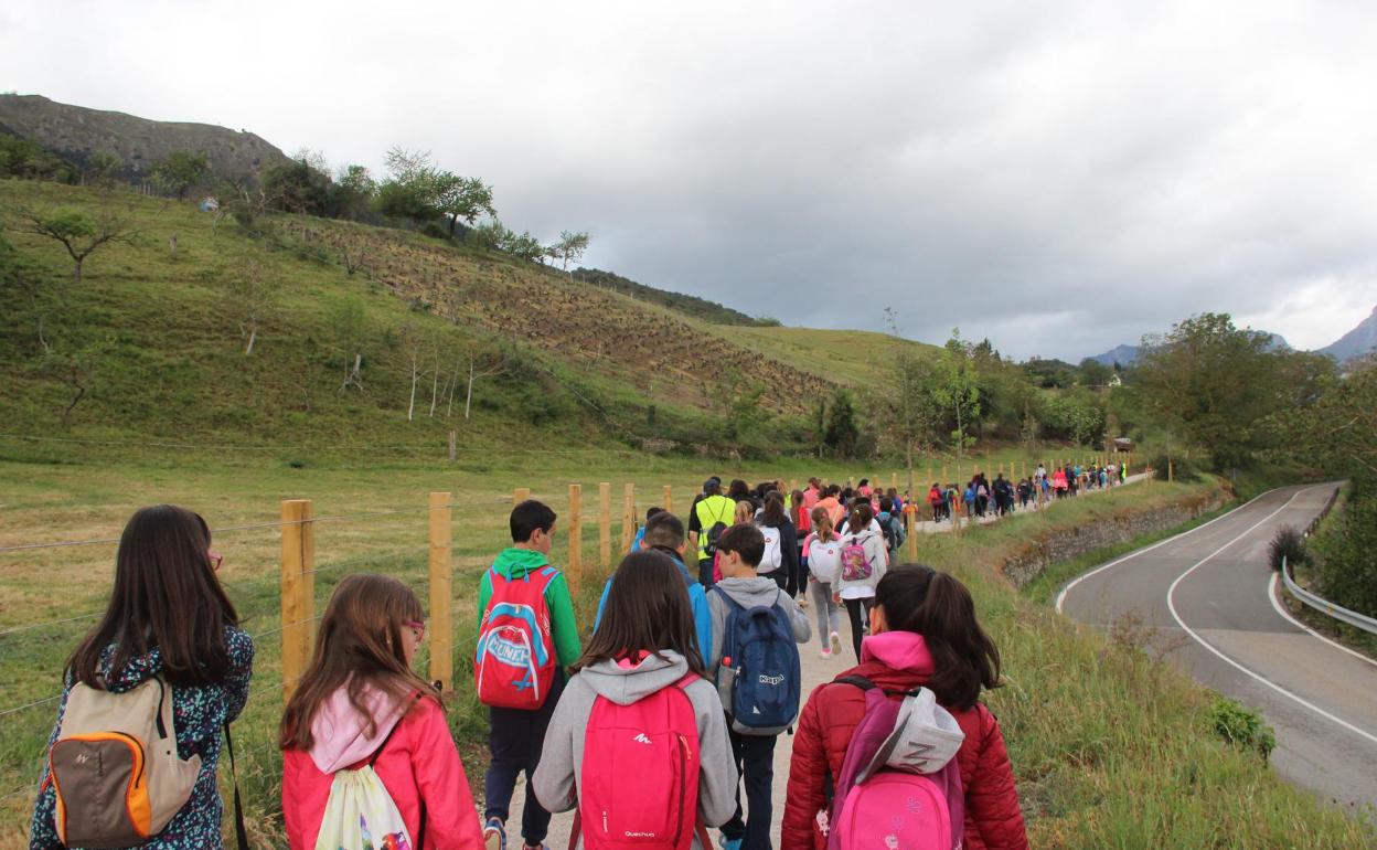 Grupo de jóvenes peregrinos camino del monasterio de Santo Toribio 