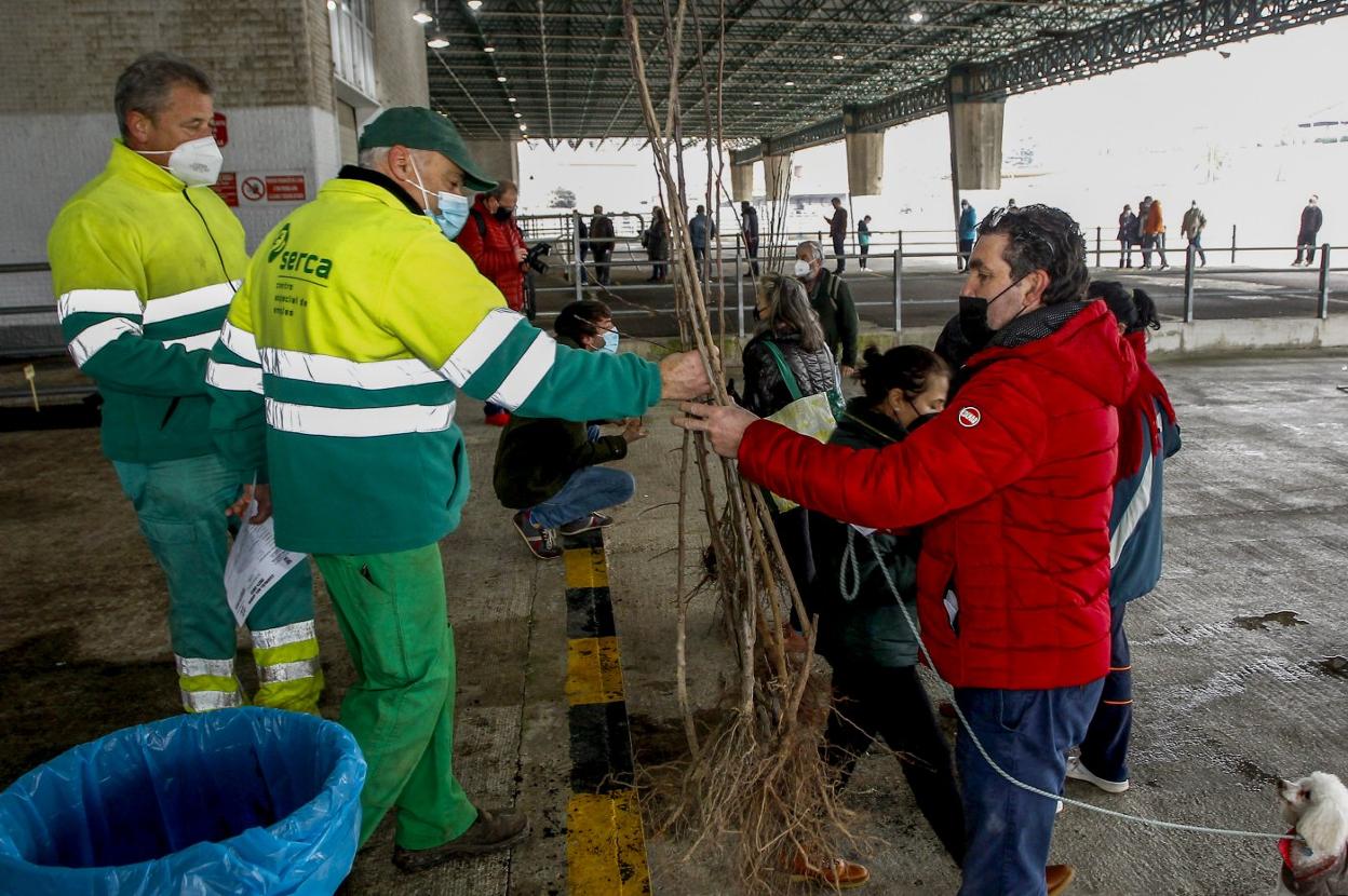 Trabajadores del Serca entregan unos árboles a un vecino de Torrelavega. 