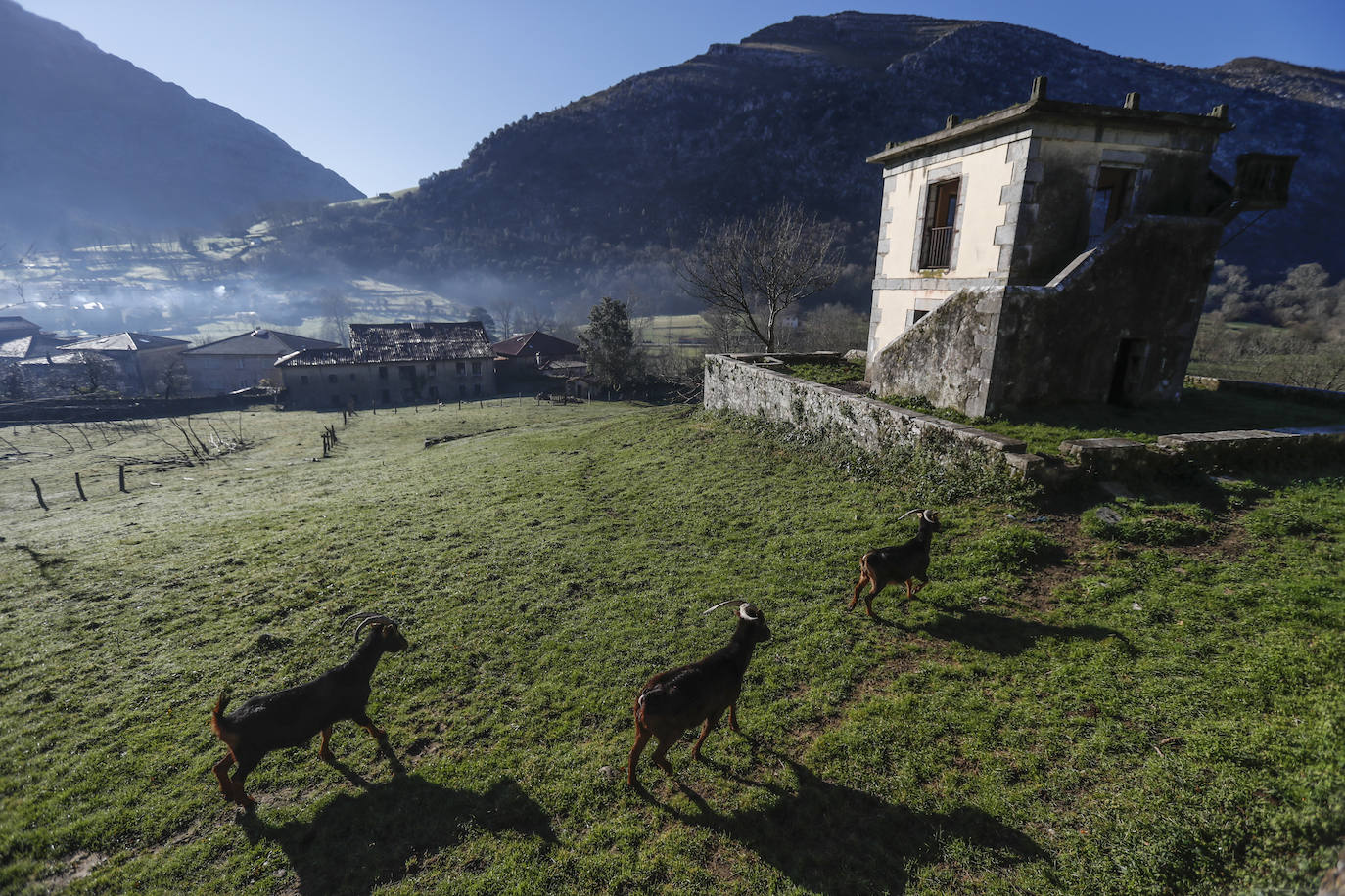 La finca de Arredondo se utiliza ahora para el pasto del ganado