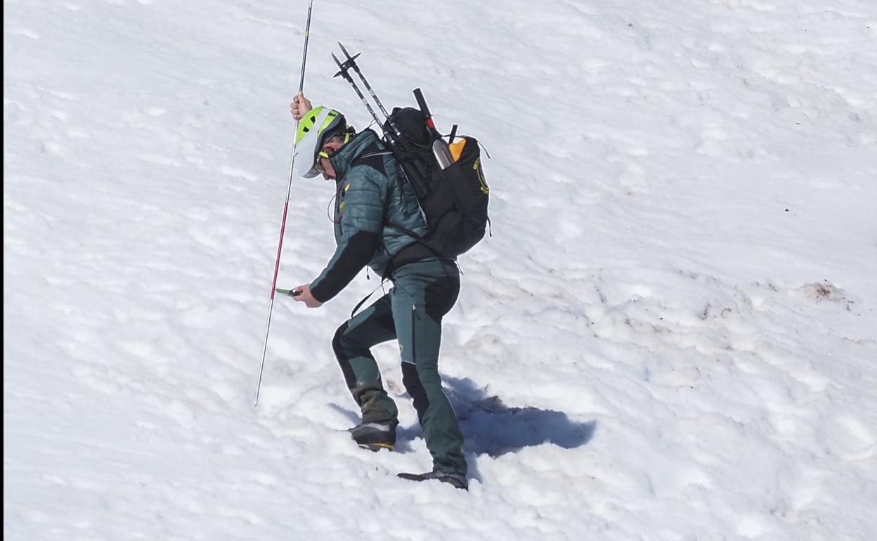 Efectivos del Greim de la Guardia Civil, ayer, realizando prácticas de rescate en avalanchas en Alto Campoo.