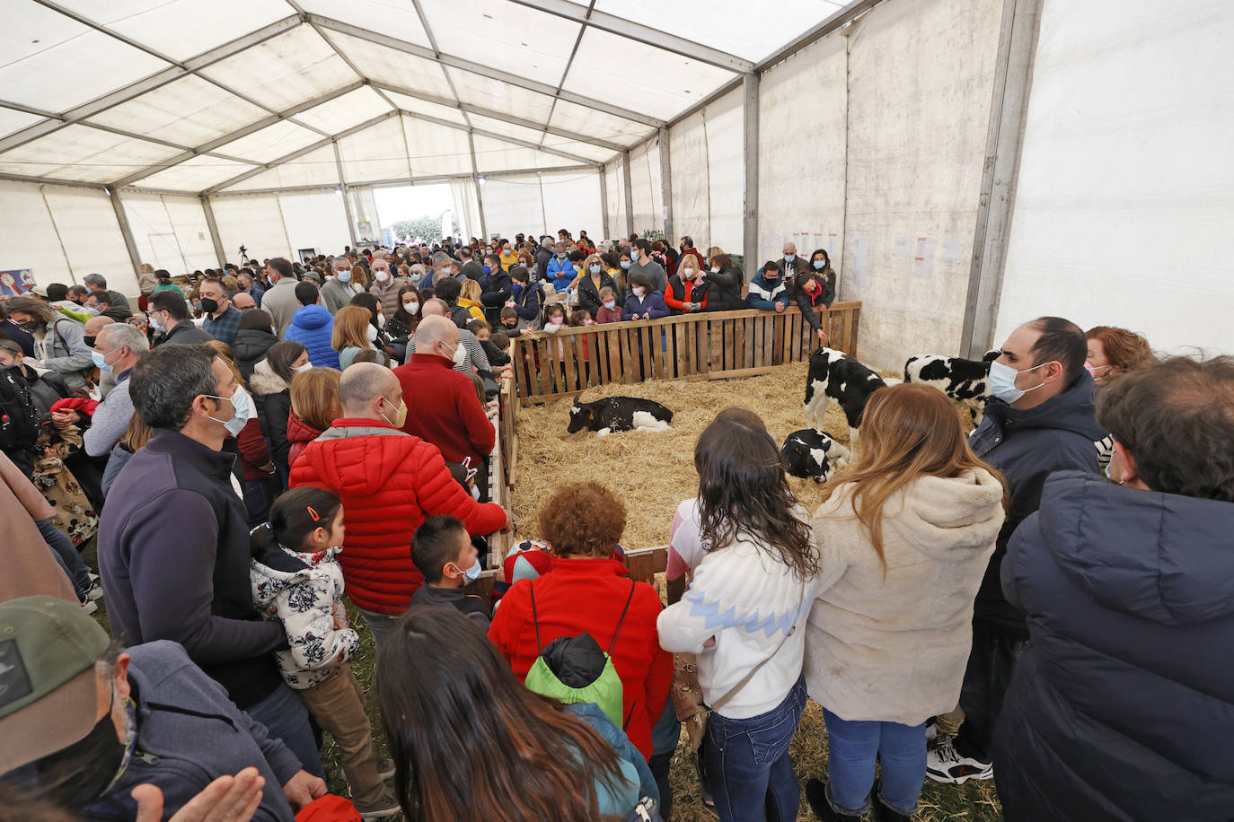 El evento, que se ha recuperado tras un año sin celebrarse, atrajo la atención de numerosas familias,