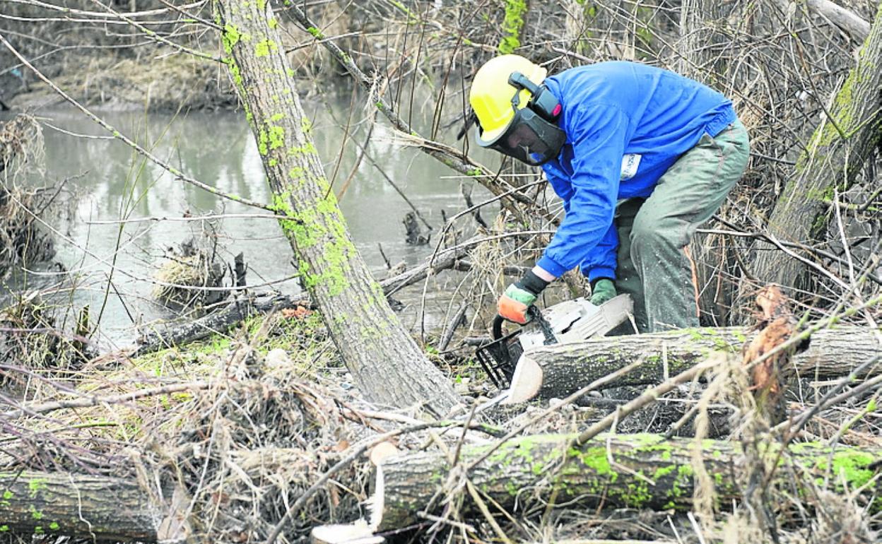 Un operario realiza labores de limpieza en el río Híjar. 