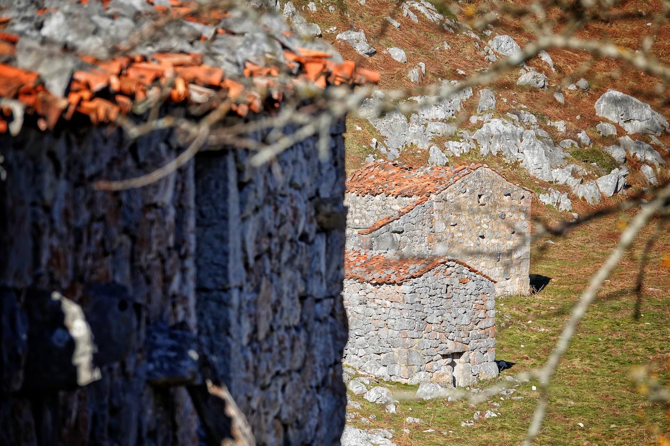 La ascensión a Peña Main (1605m), en pleno macizo de los Urrieles, no resulta complicada y, sin embargo, esta cumbre es una atalaya perfecta para observar los tres macizos de los Picos de Europa y sus cimas más altas y míticas.