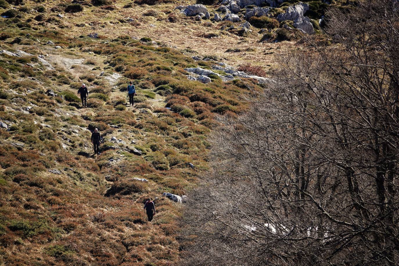 La ascensión a Peña Main (1605m), en pleno macizo de los Urrieles, no resulta complicada y, sin embargo, esta cumbre es una atalaya perfecta para observar los tres macizos de los Picos de Europa y sus cimas más altas y míticas.