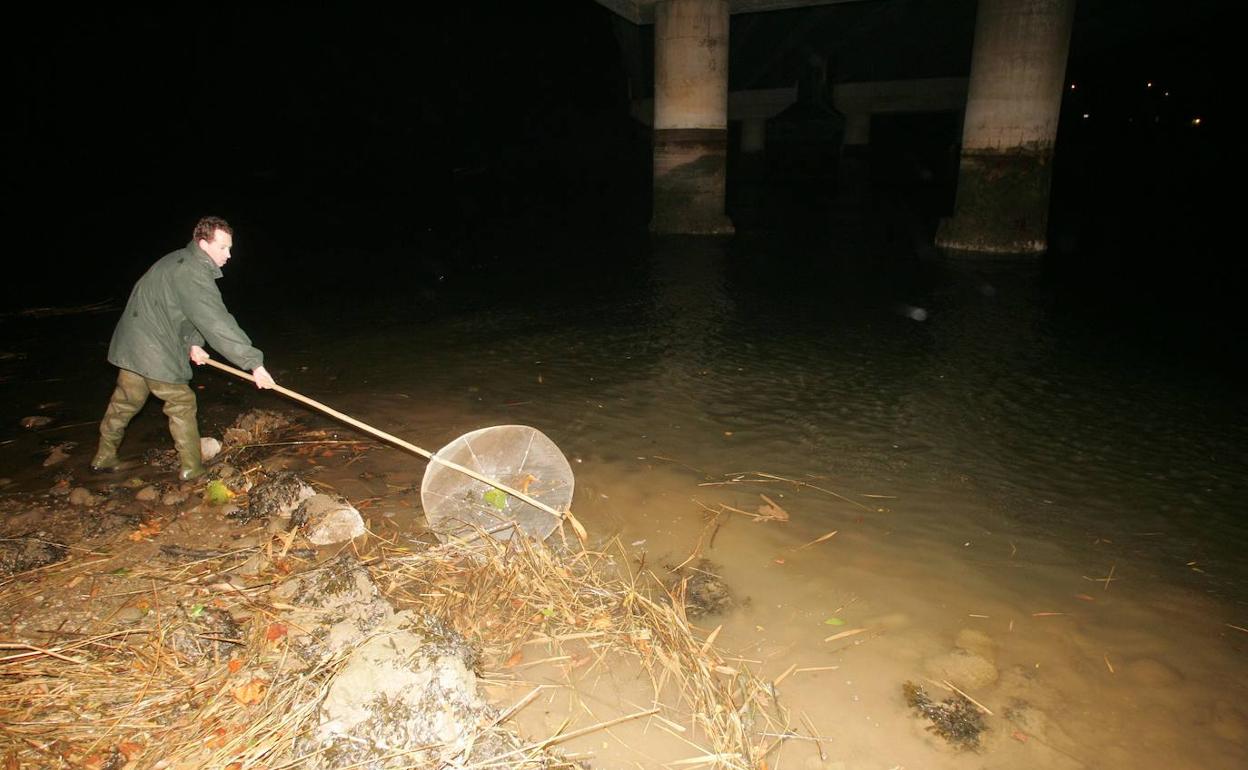 Imagen de archivo de un pescador de angulas en el río Pas.