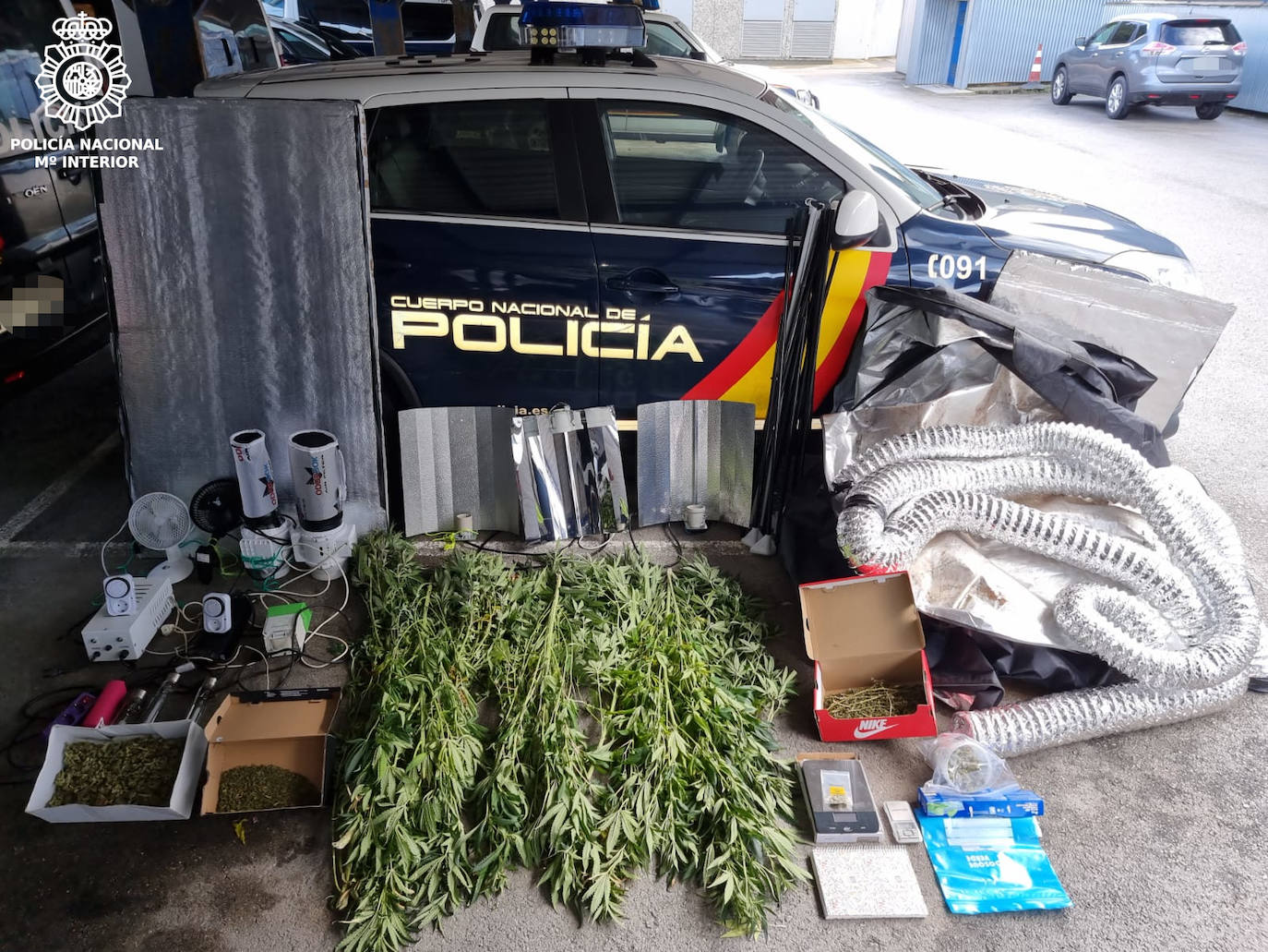 Plantas y aparatos intervenidos.