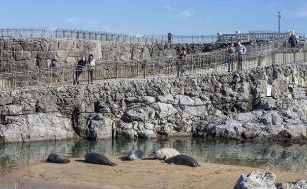 Nuevo retraso para decidir el futuro del zoo de La Magdalena