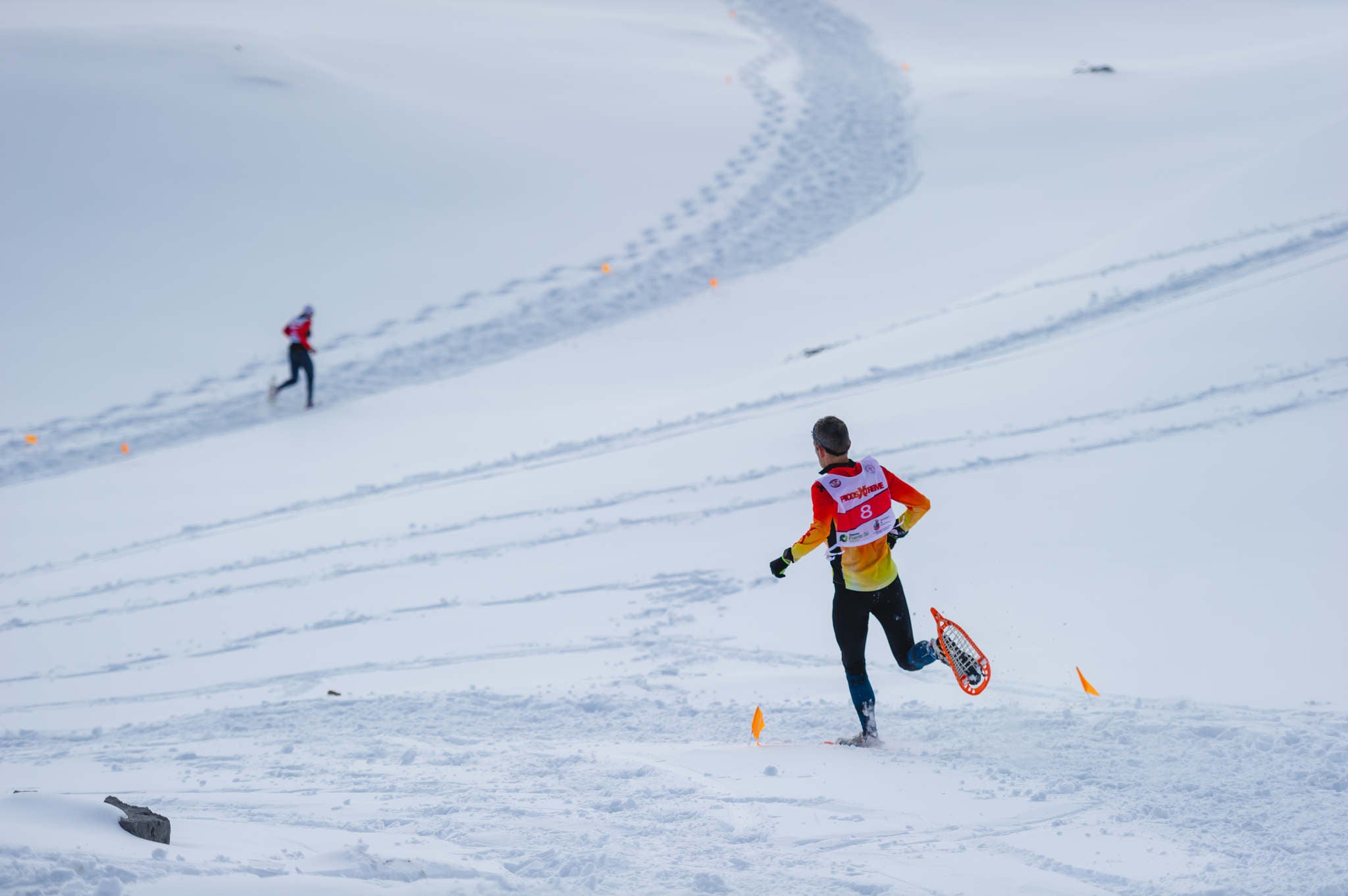 La estación superior del teleférico de Fuente Dé fue el escenario de la VIII edición de la Picos Snow Run, organizada por Picos Xtreme. Un total de 82 participantes corrieron con raquetas de nieve en un circuito de 8,5 kilómetros y 400 metros de desnivel positivo. Lucía Ibáñez y Diego Cotera se coronaron campeones. El ganador de la prueba masculina fue el asturiano Diego Cotera, que cruzó la línea de meta en 0:57:10, tan solo 40 segundos antes que el cántabro Marcos Santiago, quien se alzaría con el cetro cántabro de la especialidad. Javier Peña se subió al tercer cajón con un tiempo de 0:58:33. En la categoría femenina, Lucía Ibáñez revalidó el título de Campeona de Cantabria 2020 ganando con solvencia en un tiempo de 1:04:30. Ana M Pilar Cayón quedó en segundo lugar con un tiempo de 1:16:36, mientras que Asun Ochoa cerraría el pódium con una marca de 1:17:40. Tras las pruebas oficiales se celebró una raquetada nocturna no competitiva en la que participaron más de 300 personas. 