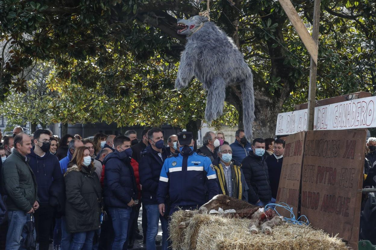 Los ganaderos exhibieron un lobo de peluche ahorcado durante su última protesta. 