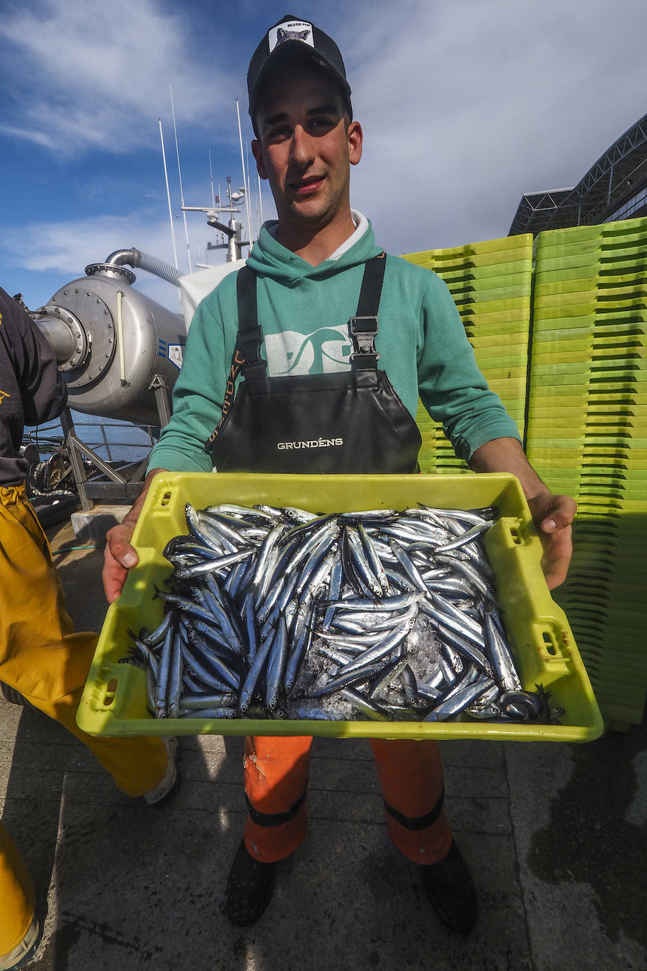 Fotos: Los puertos de Santoña y Laredo reciben el bocarte