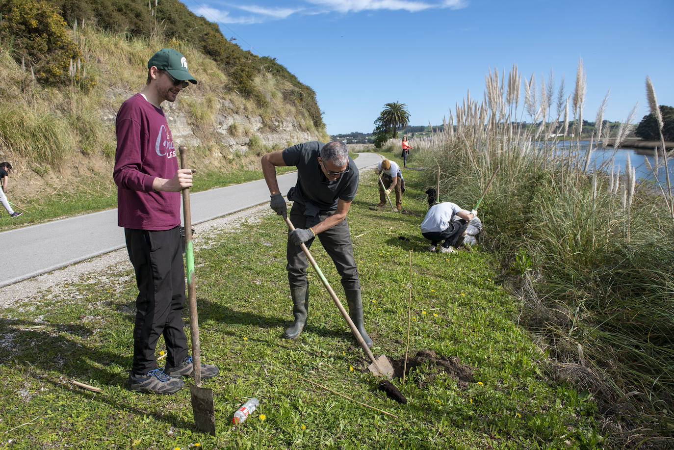 Fotos: Reforestación en común