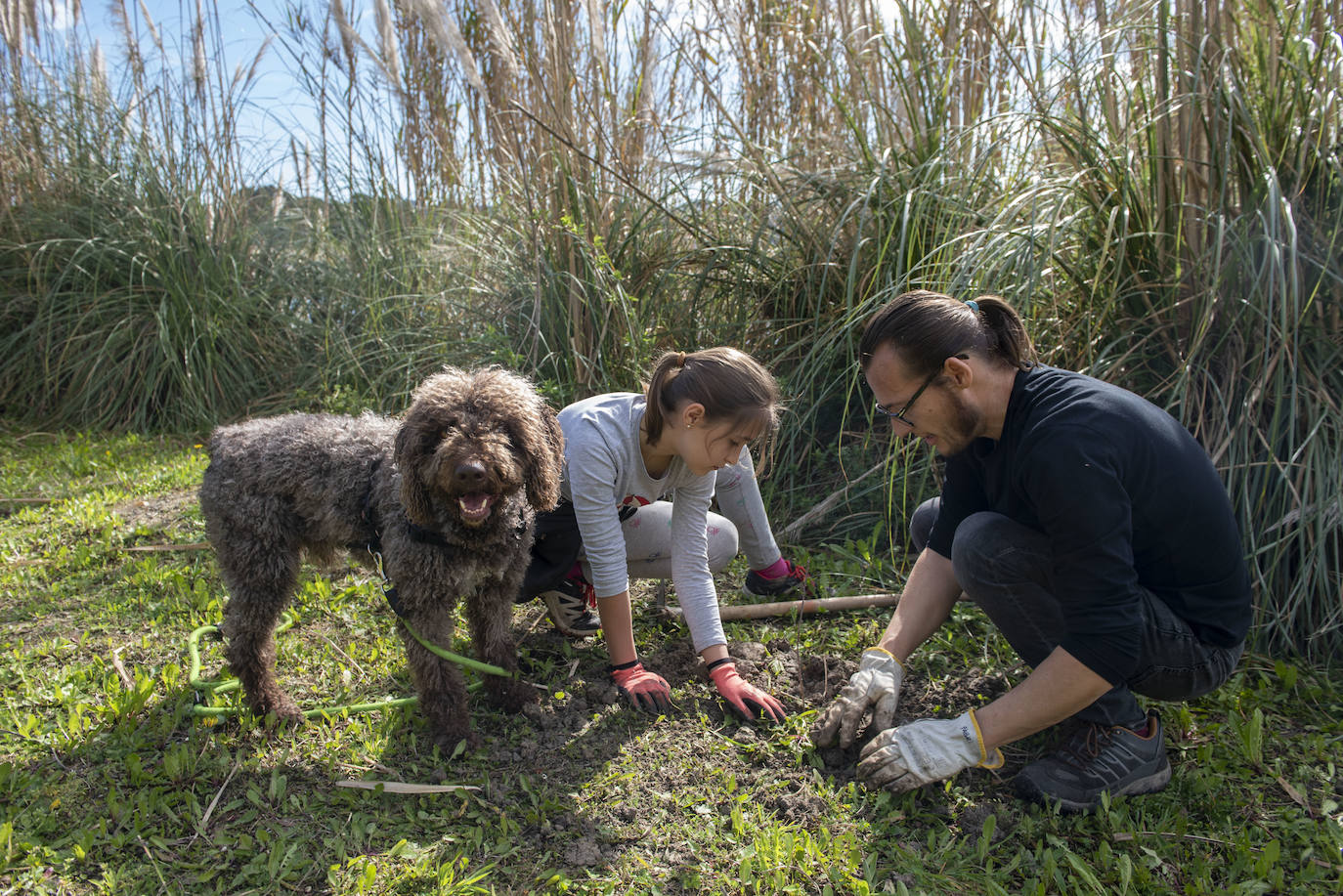 Fotos: Reforestación en común