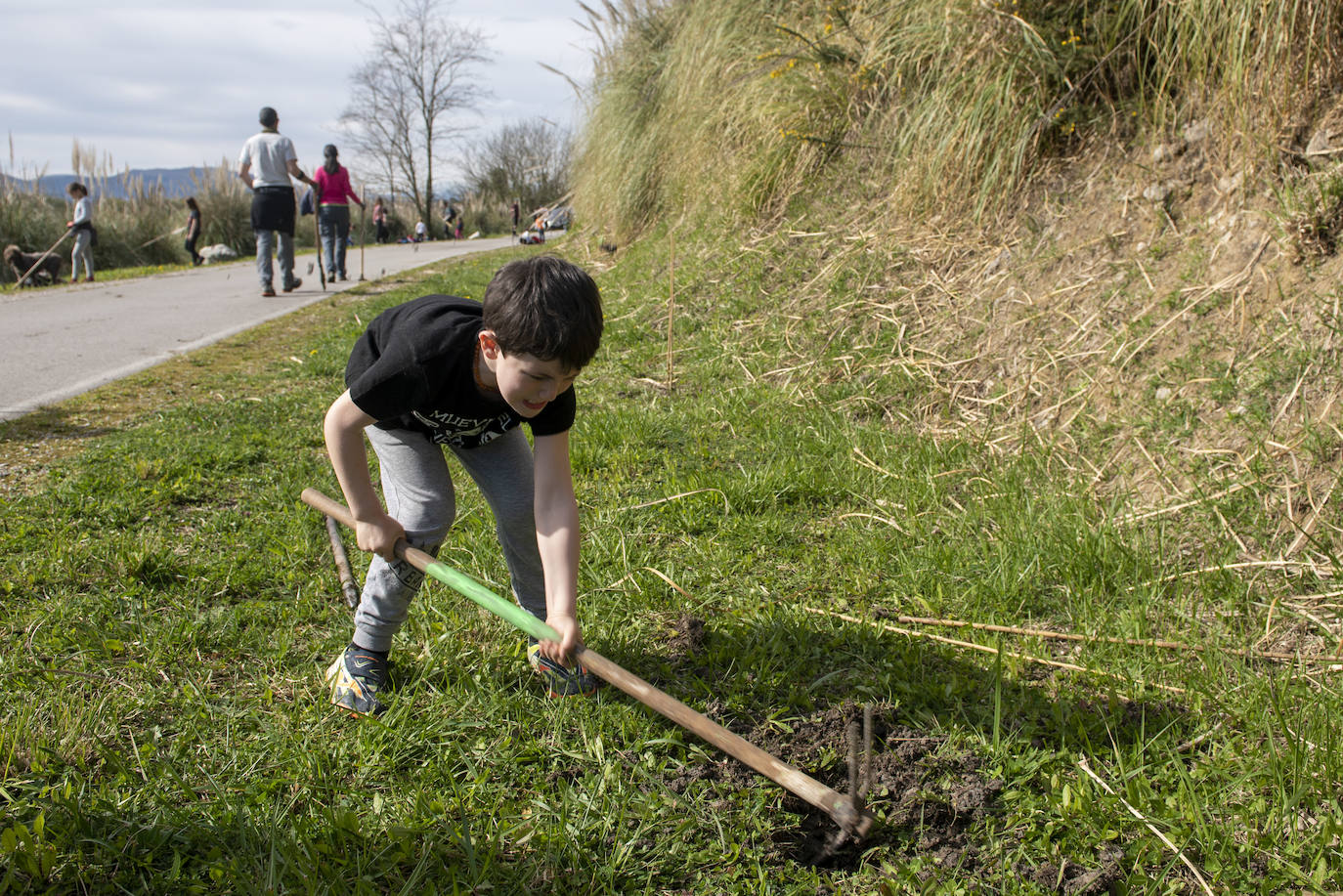 Fotos: Reforestación en común