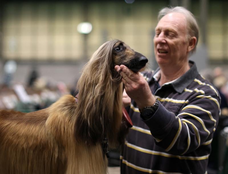 El Cruft Dog Show de Birmingham, la exposición canina más grande del mundo, se ha vuelto a celebrar este 2022 tras la pandemia.