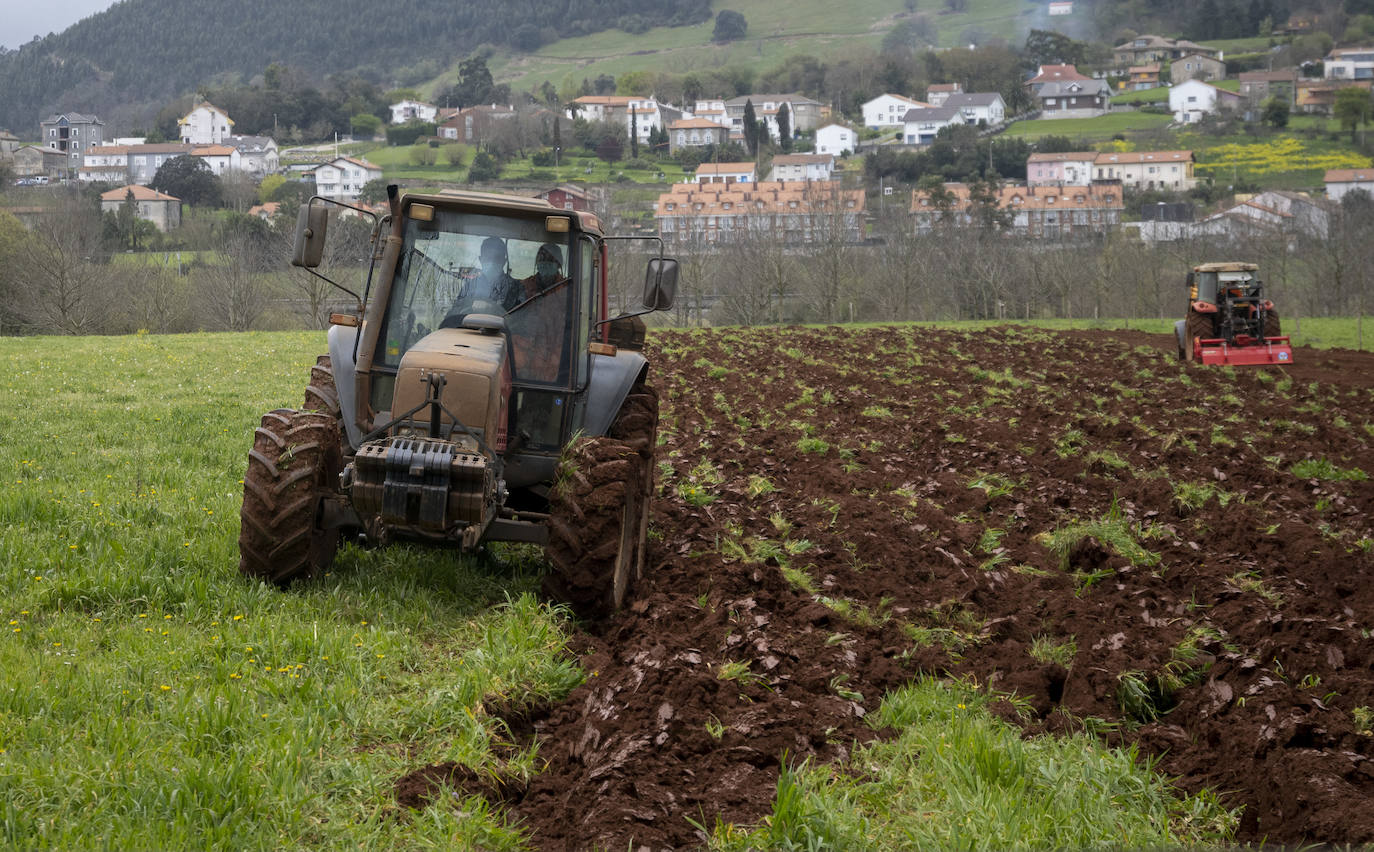 Fotos: El Centro Integrado de Formación Profesional de Medio Cudeyo cuenta con 80 alumnos en ciclos del sector agropecuario