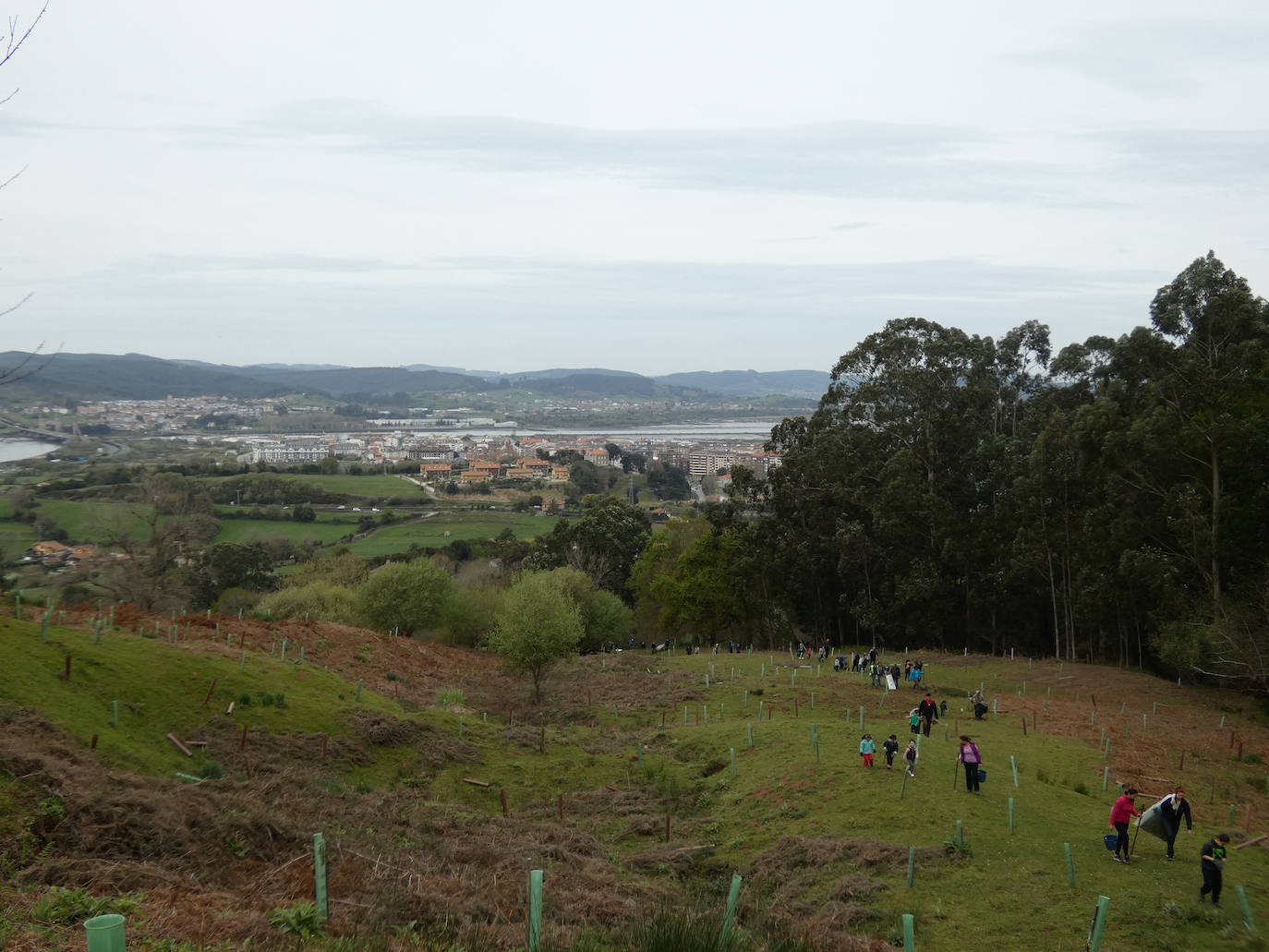 Fotos: Más de 80 voluntarios han participado en Colindres en la plantación de 200 árboles de distintas especies para conmemorar el Día del Árbol